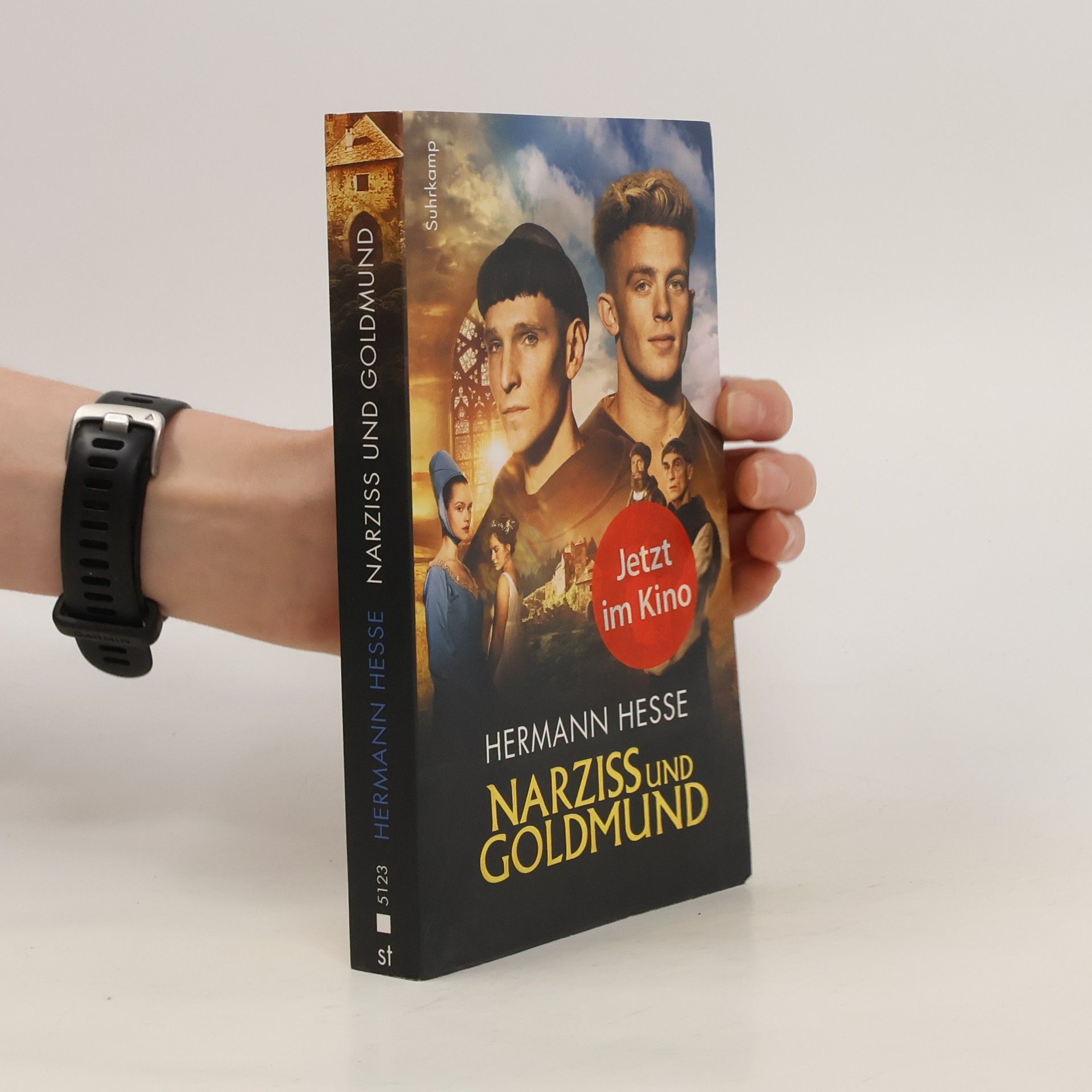 Hermann Hesse Narziß und Goldmund