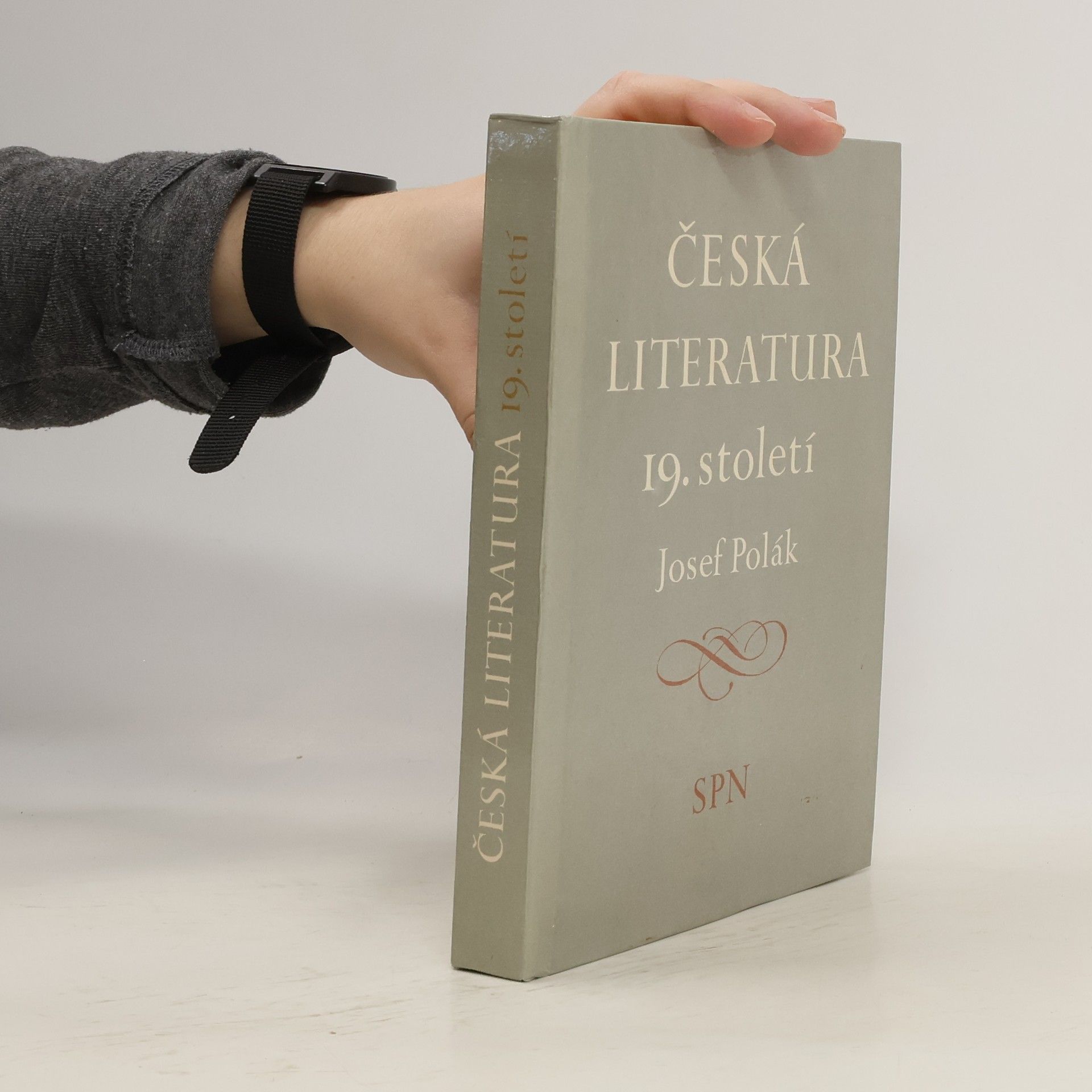 Josef Polák Česká literatura 19. století