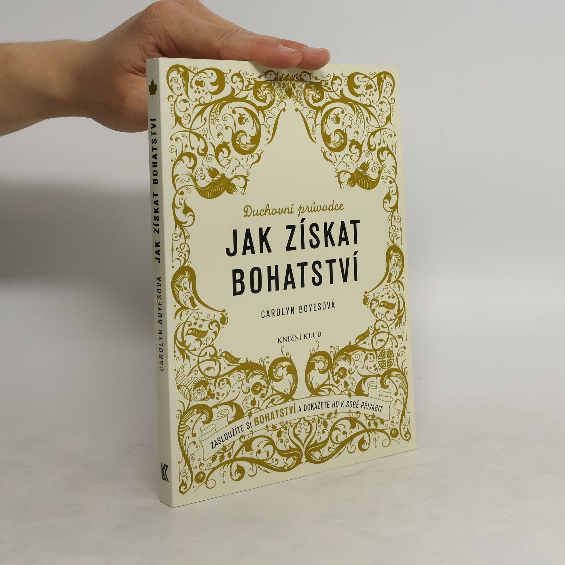 Carolyn Boyes Jak získat bohatství. Zasloužíte si bohatství a dokážete ho k sobě přivábit: Duchovní průvodce
