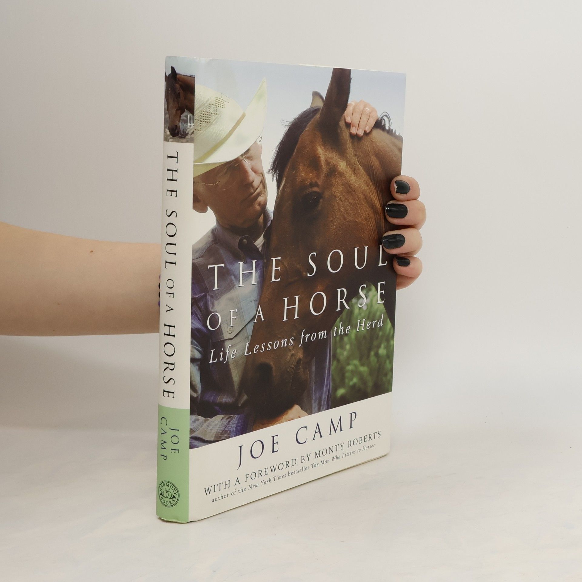 Joe Camp The soul of a horse