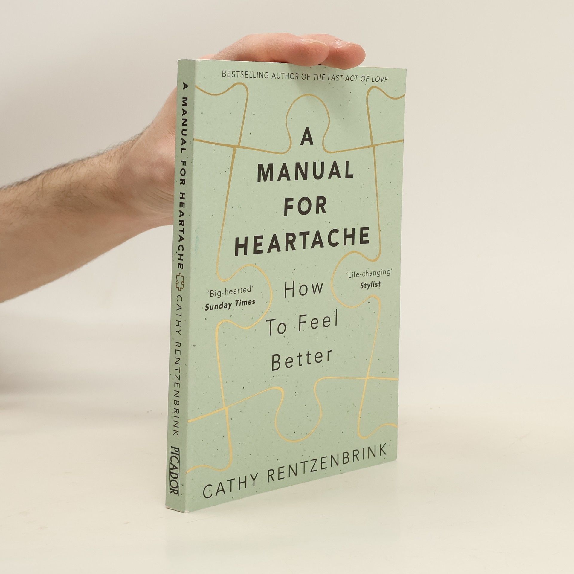 Cathy Rentzenbrink A Manual for Heartache