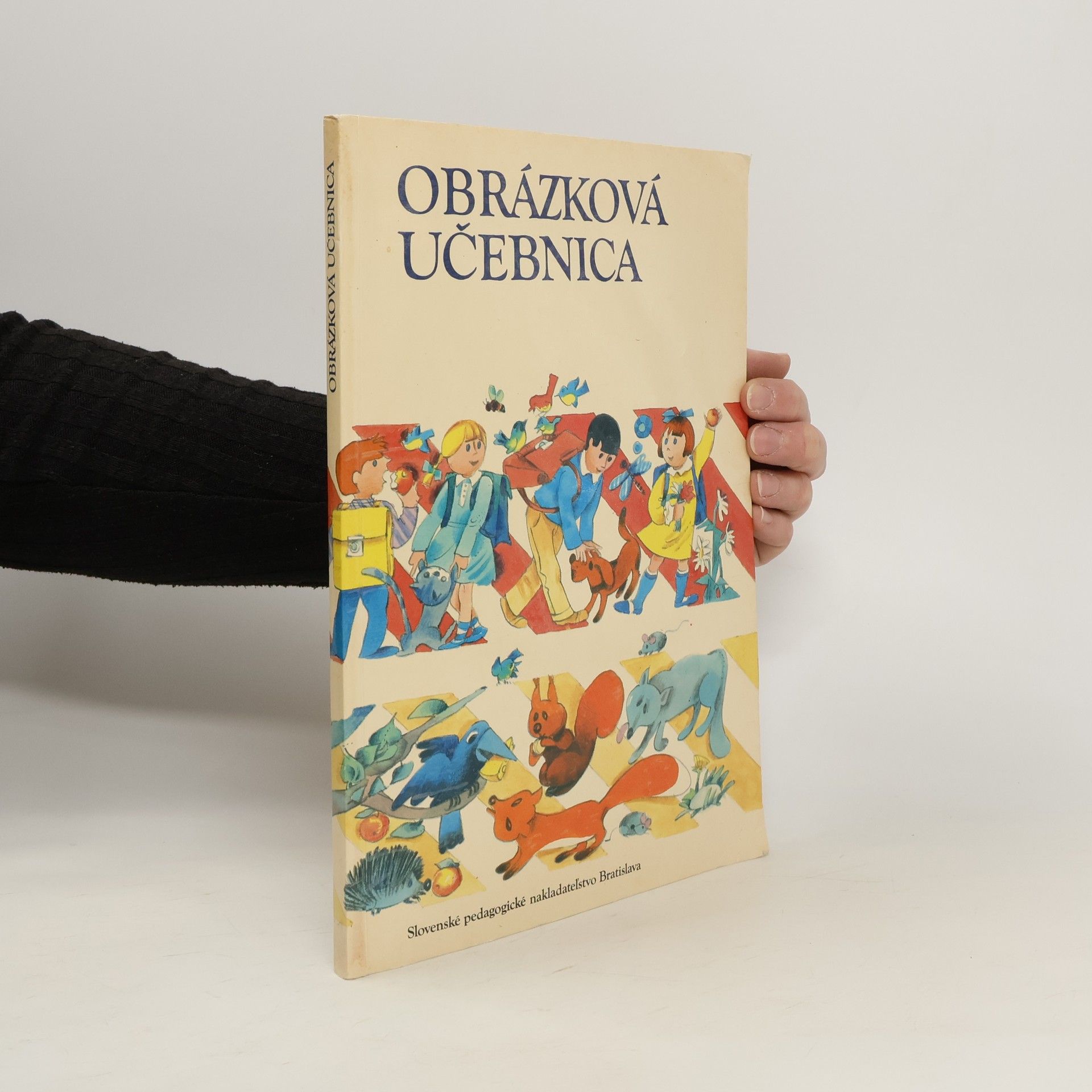 Collectif d'auteurs Obrázková učebnica