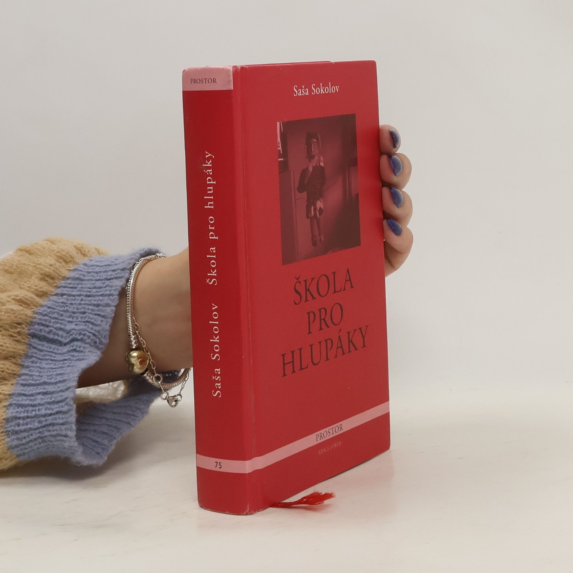 Sasha Sokolov Škola pro hlupáky
