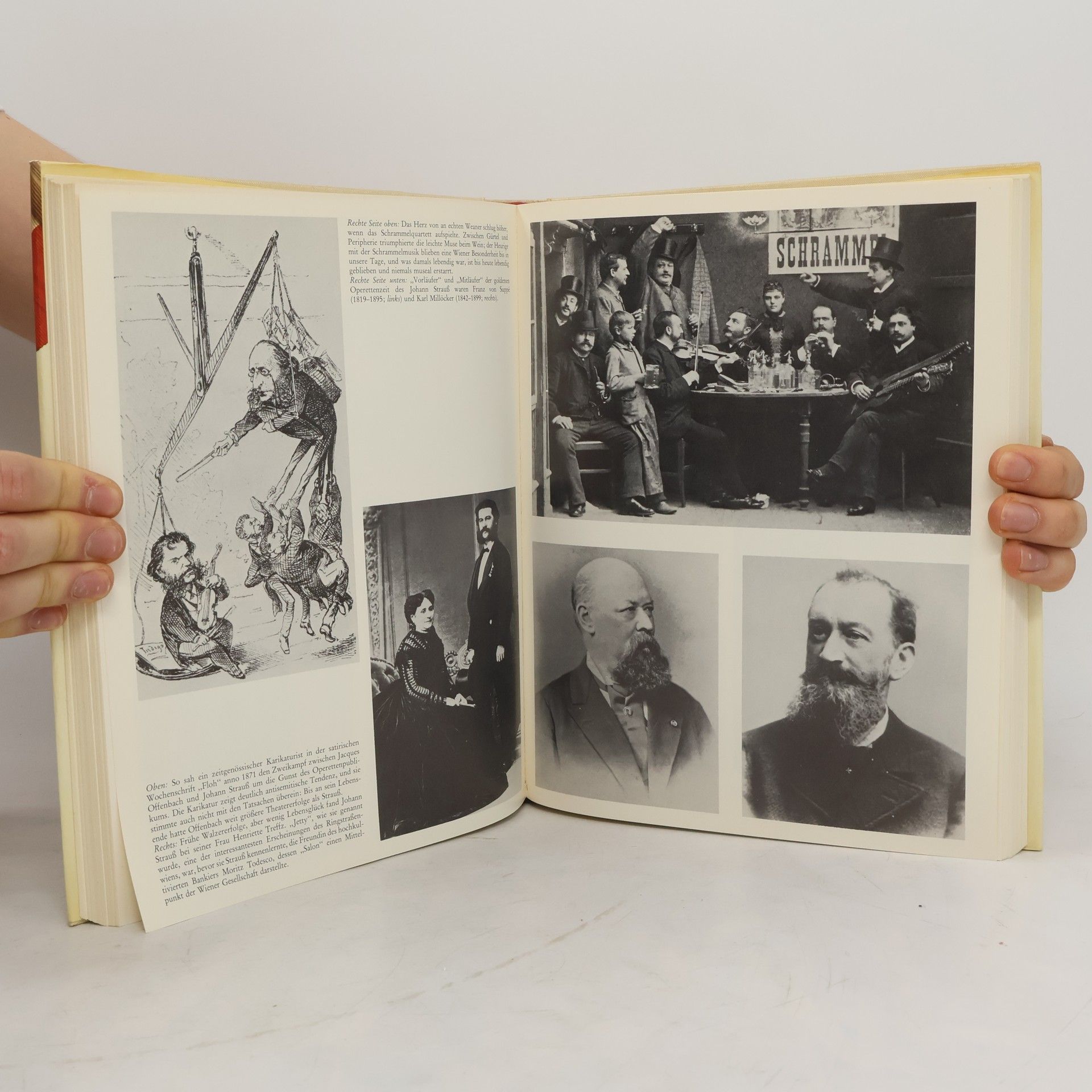 Hellmut Andics Das österreichische Jahrhundert. Die Donaumonarchie 1804-1918
