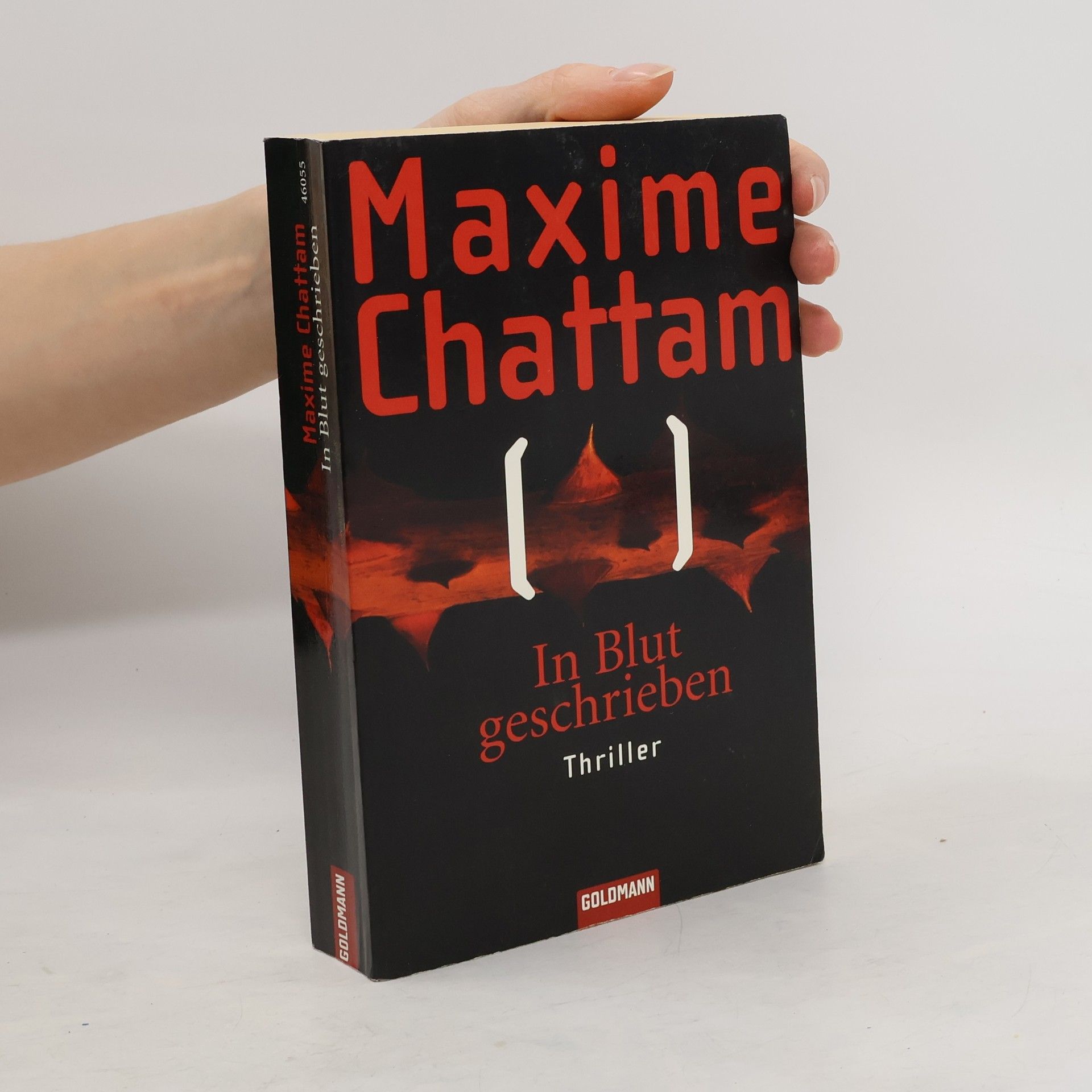 Maxime Chattam In Blut geschrieben