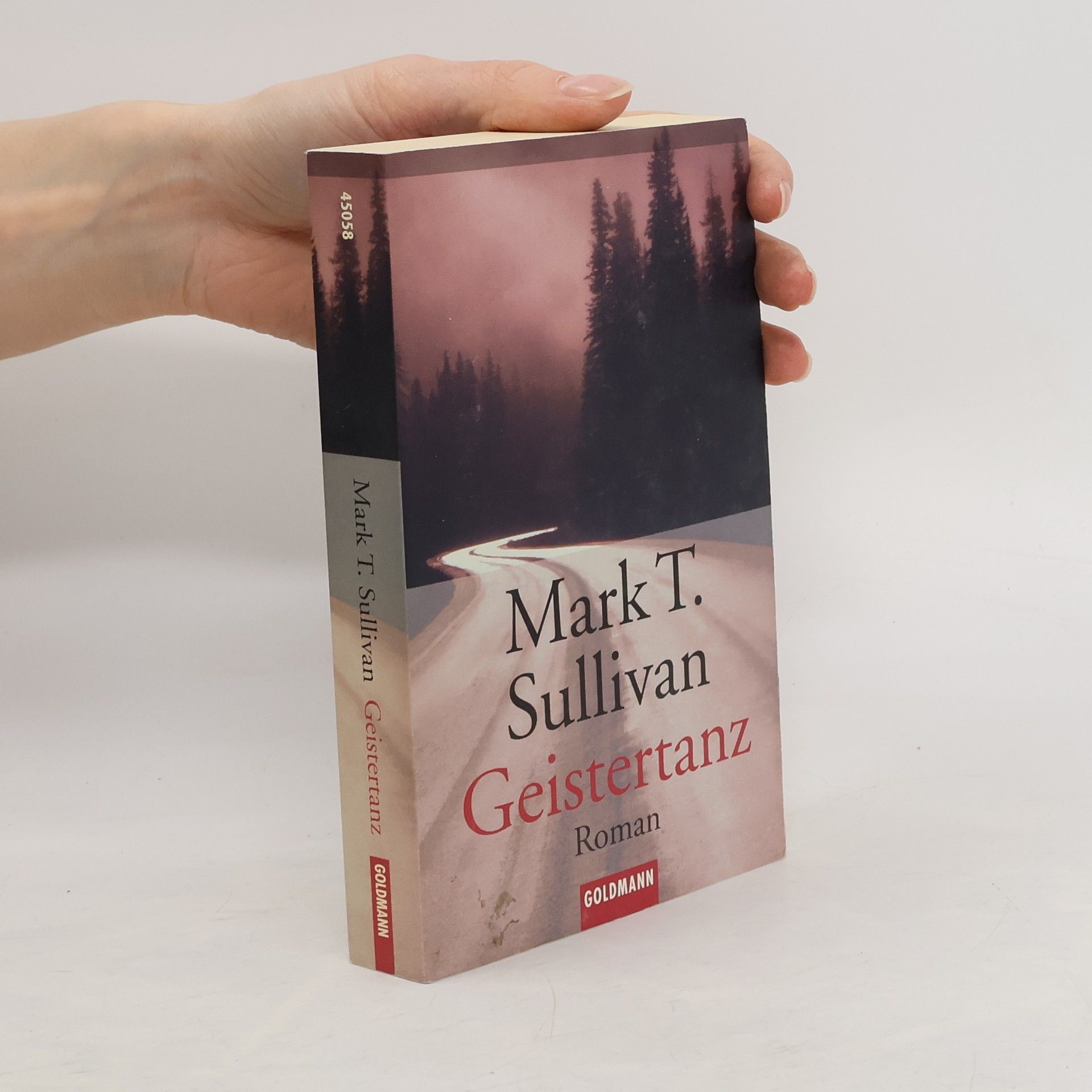 Mark T. Sullivan Geistertanz