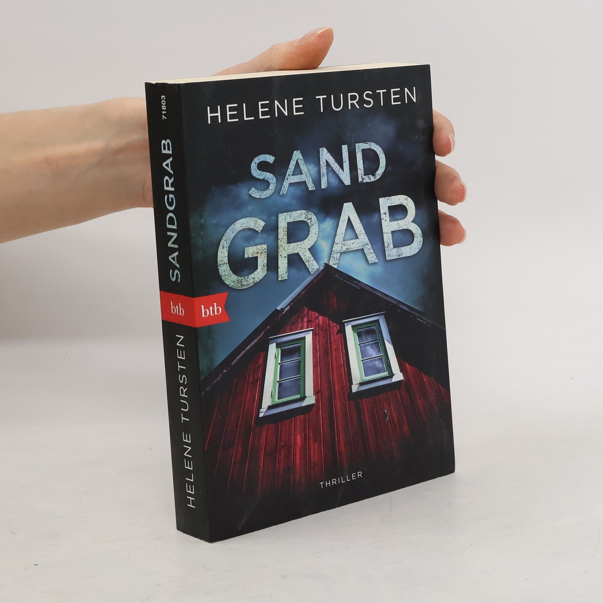 Helene Tursten Sandgrab