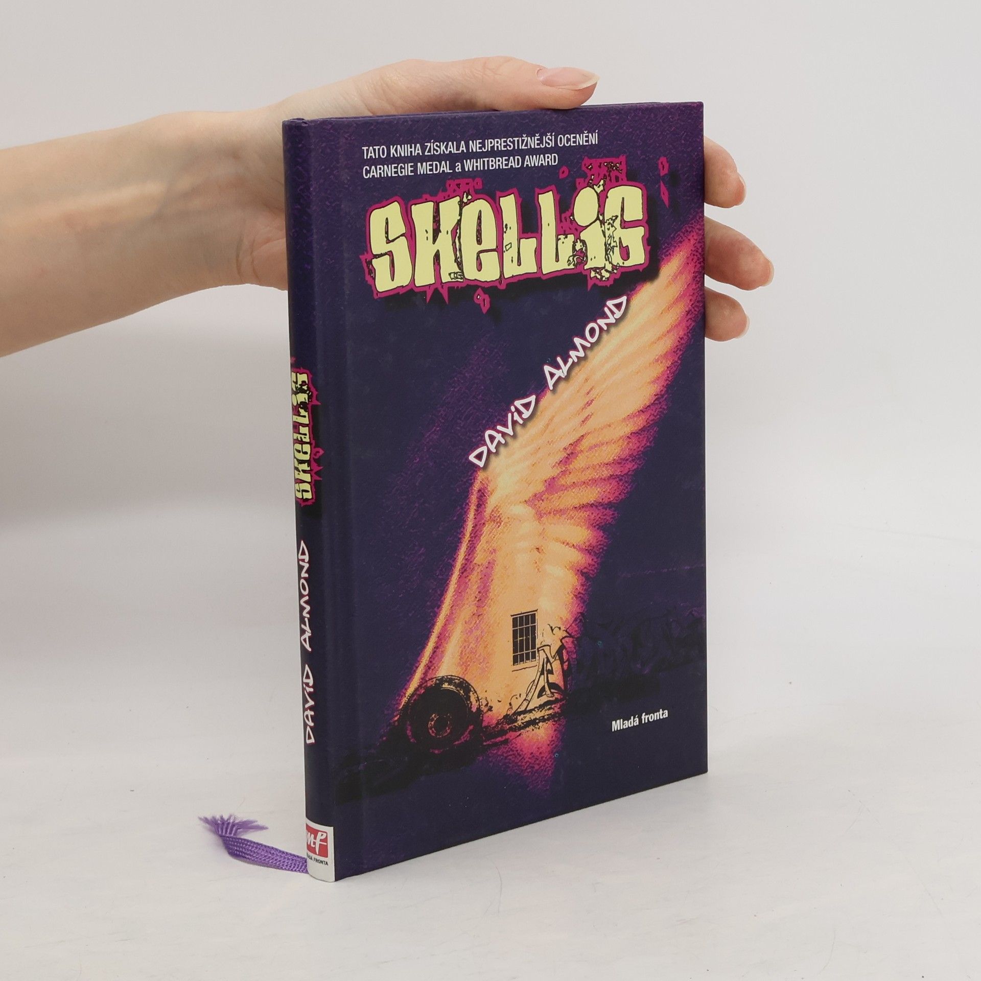 David Almond Skellig