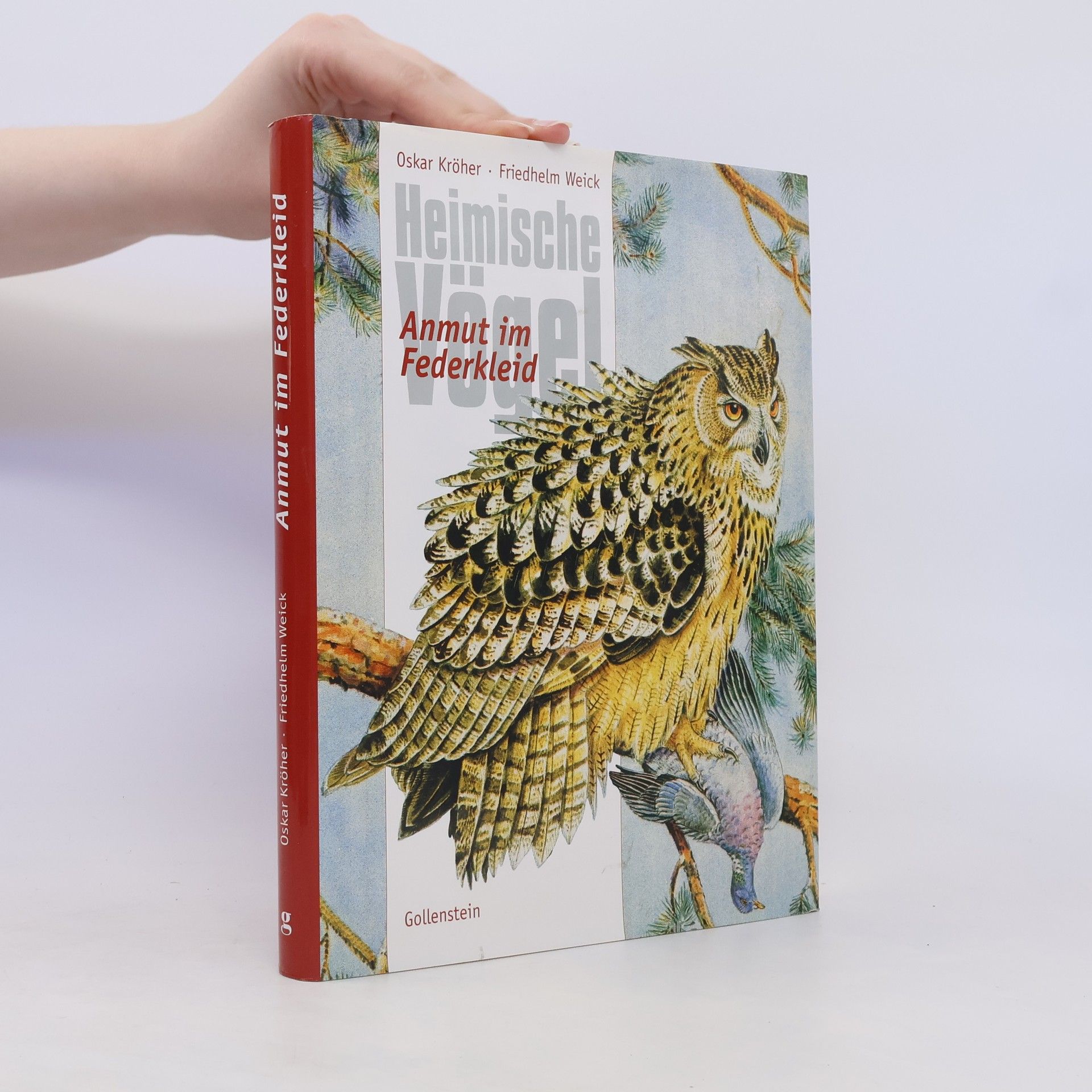 Oss Kröher Heimische Vögel