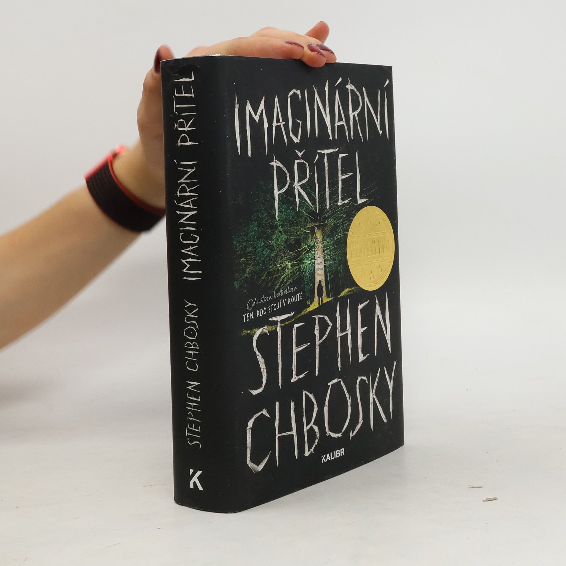 Stephen Chbosky Imaginární přítel