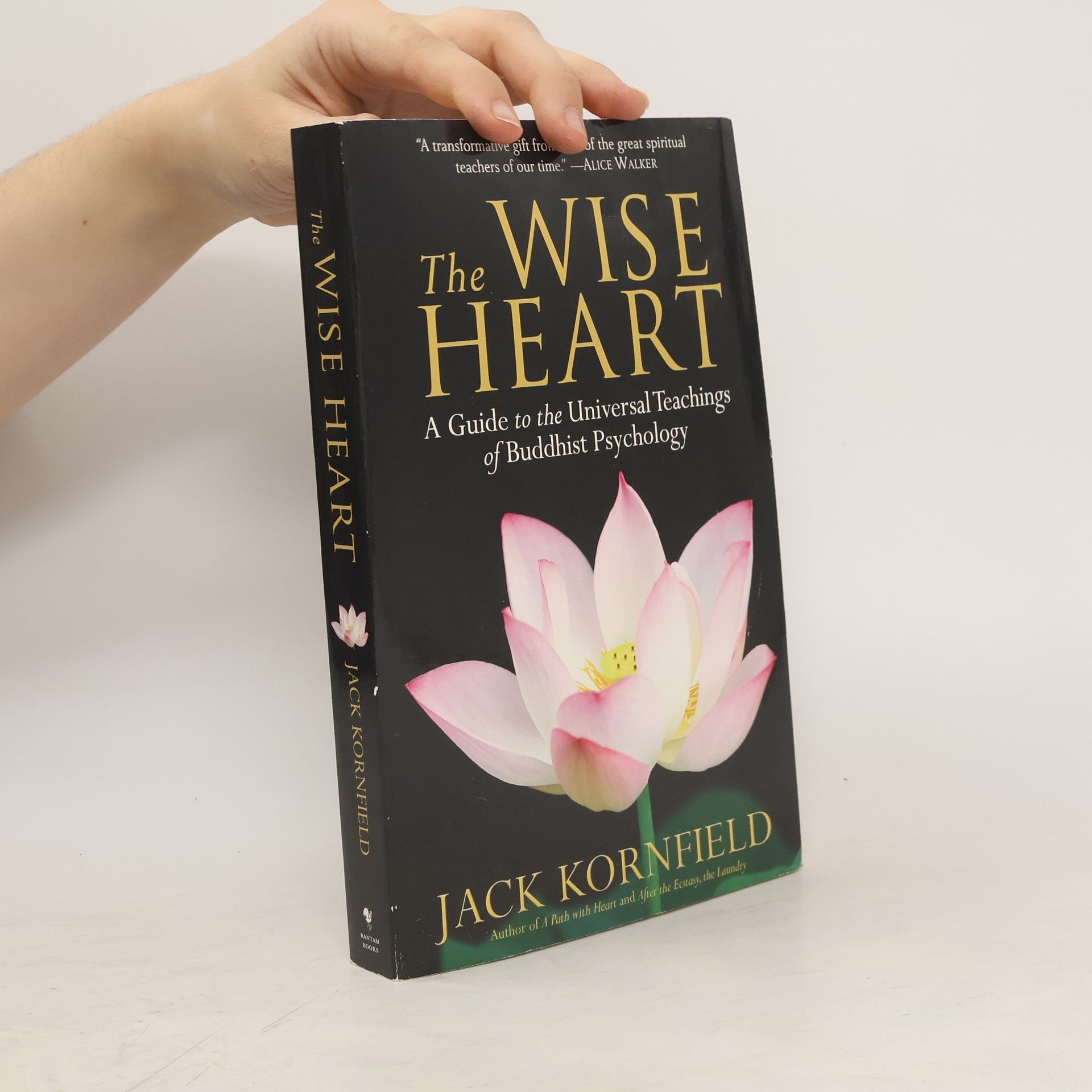 Jack Kornfield The Wise Heart