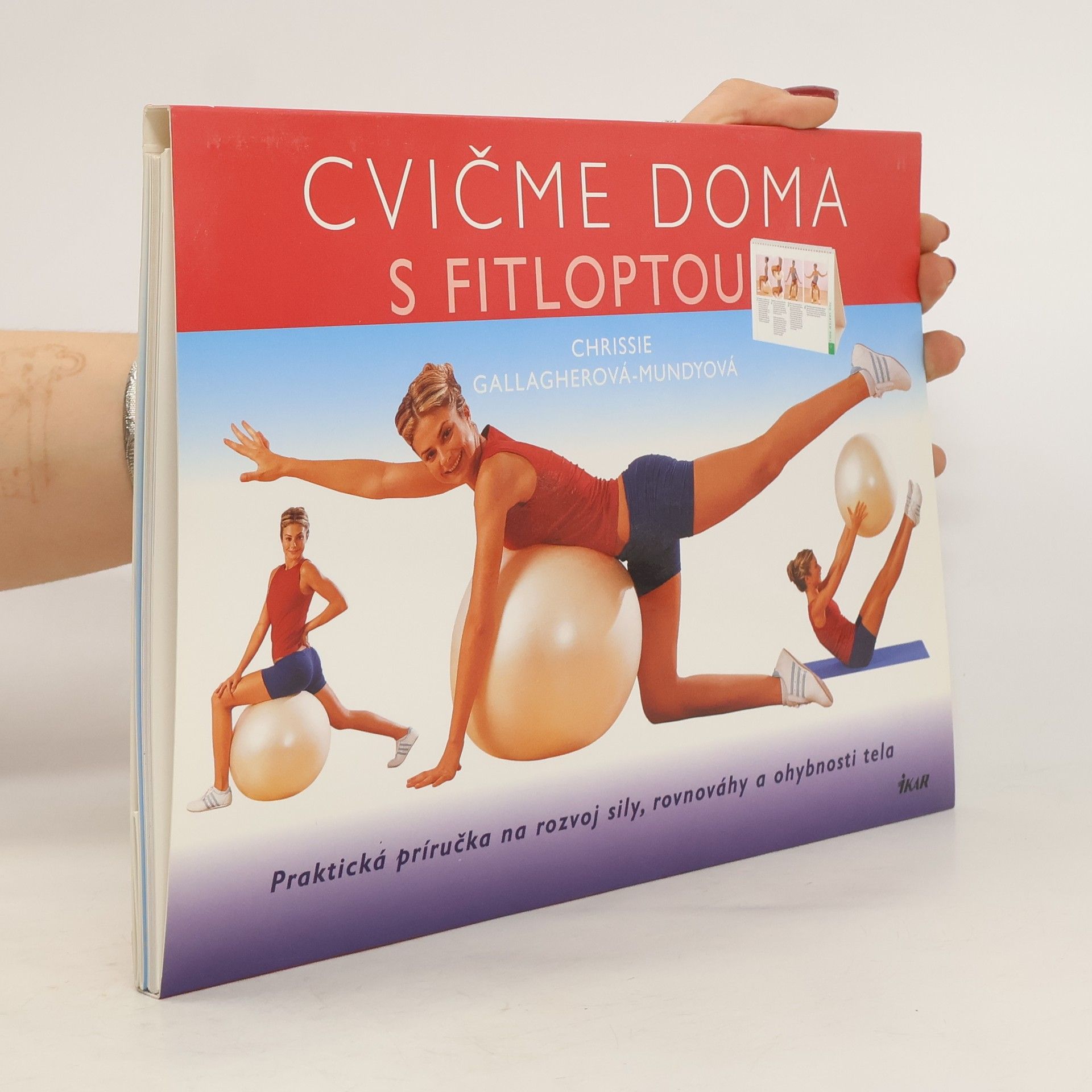 Chrissie Gallagher Mundy Cvičíme doma s fitloptou