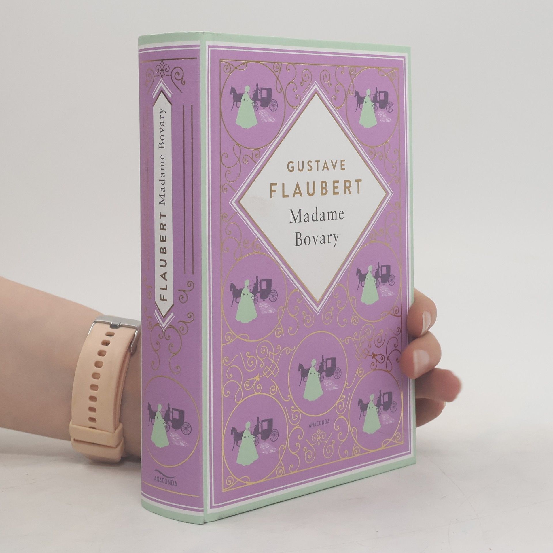 Gustave Flaubert Madame Bovary