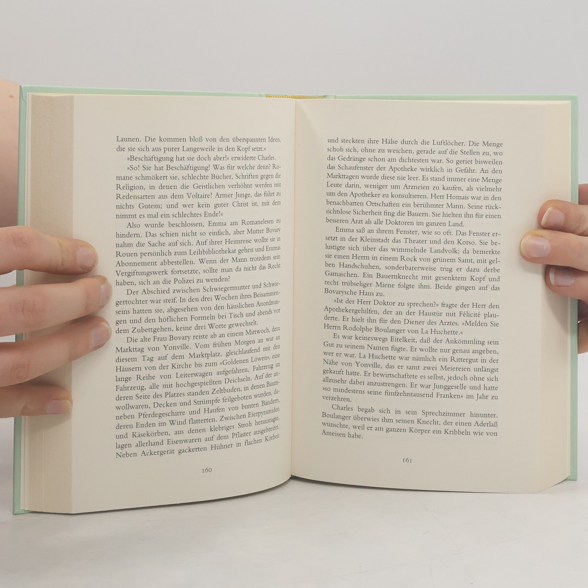Gustave Flaubert Madame Bovary