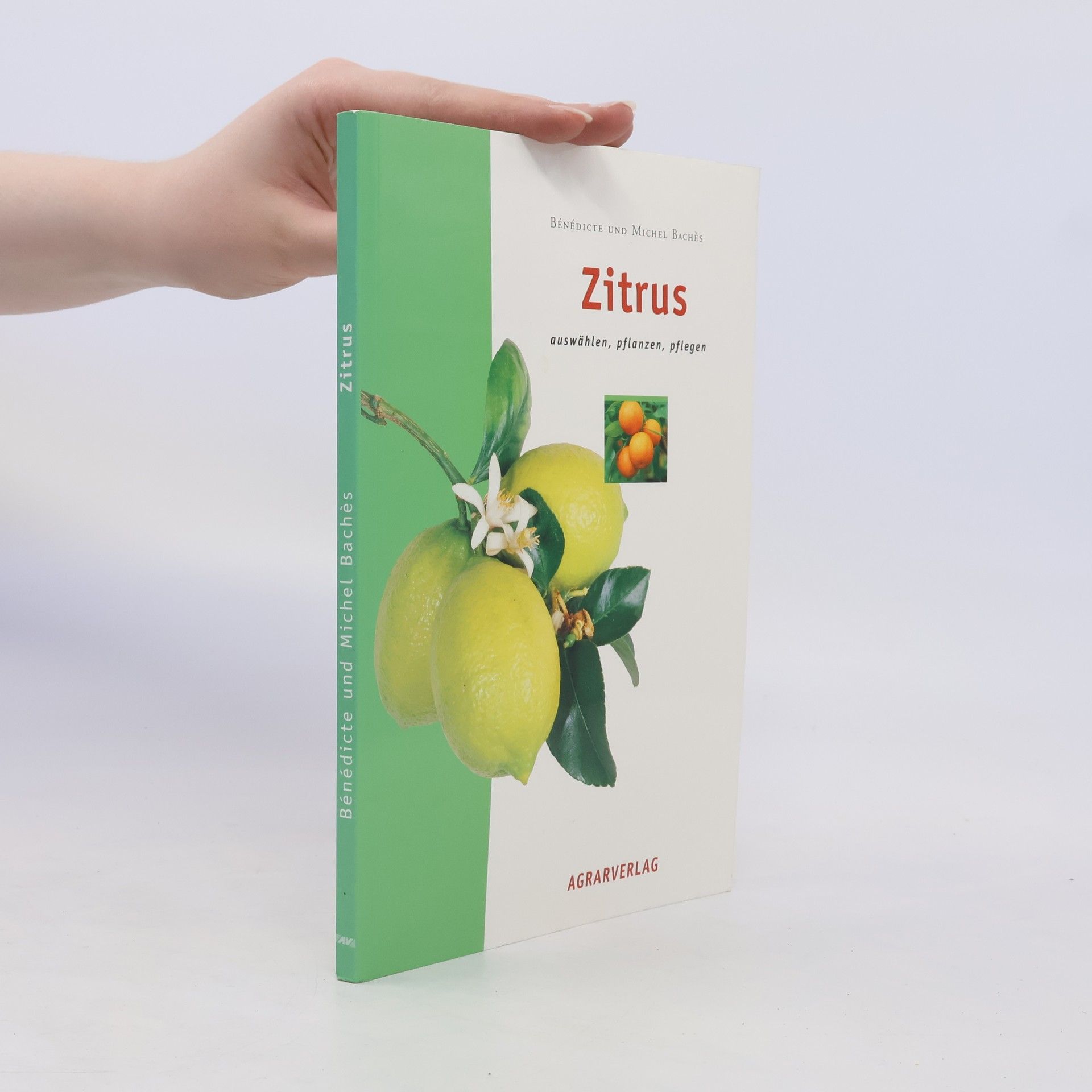 Bénédicte Bachès Zitrus: auswählen, pflanzen, pflegen