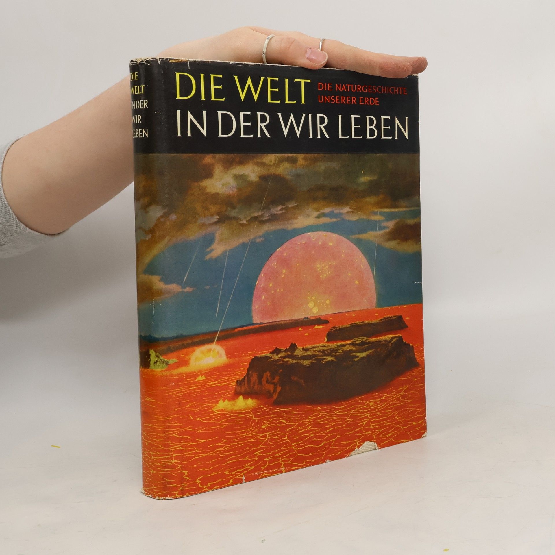 kolektiv Die Welt in der wir leben