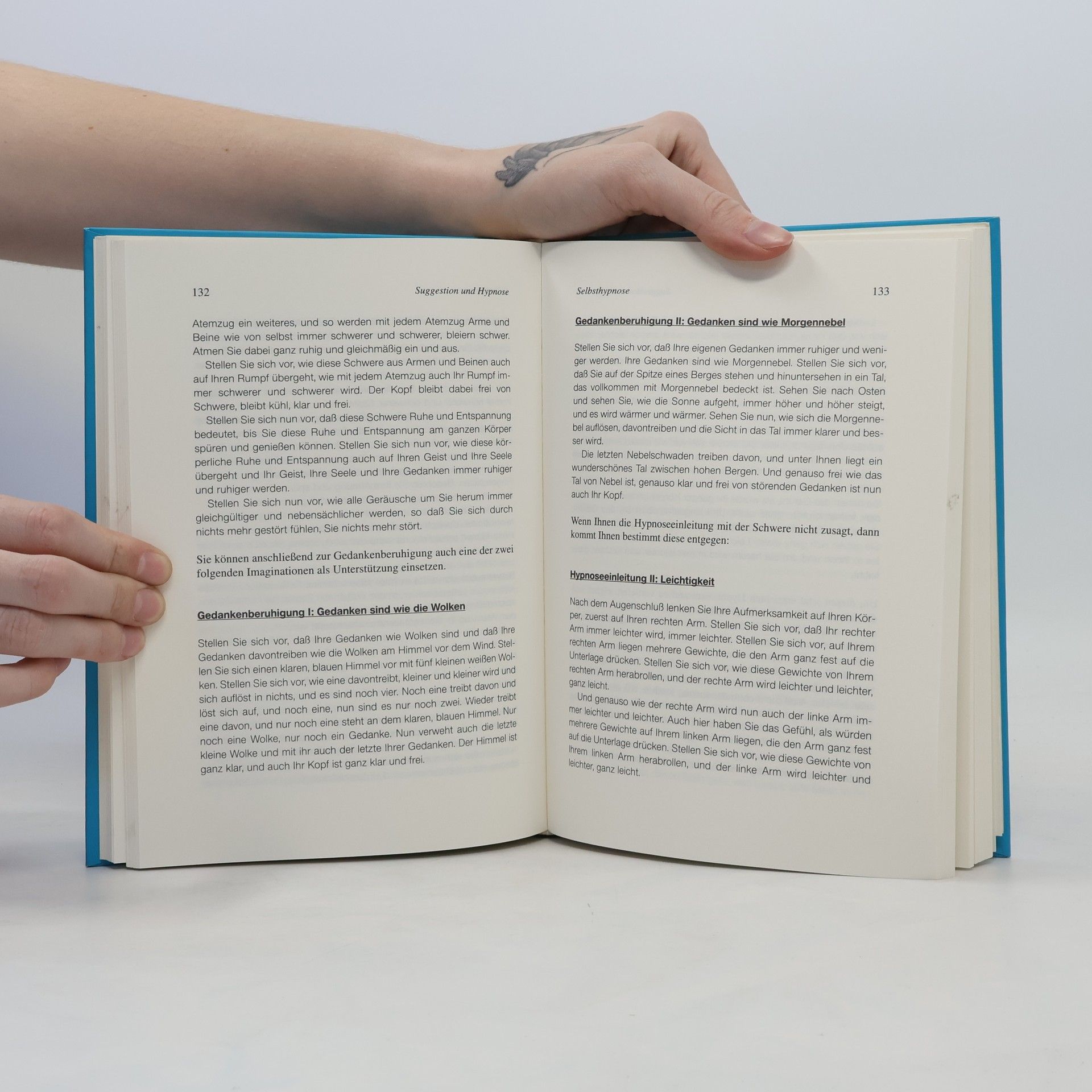 Thomas Scherz Das Praxisbuch der Mentaltechniken