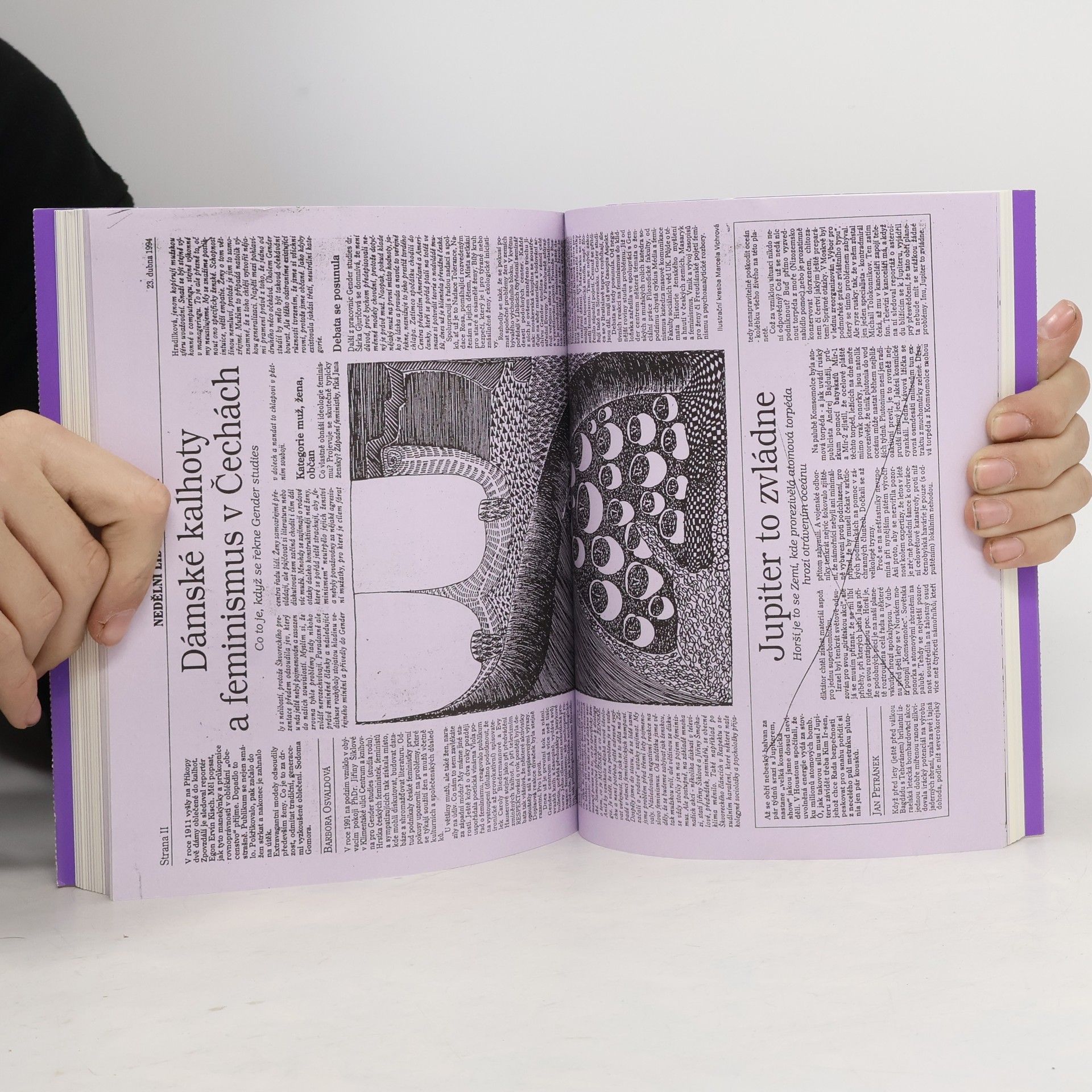 Kolektiv autorů Hnízdo feminismu. 30 let Gender Studies