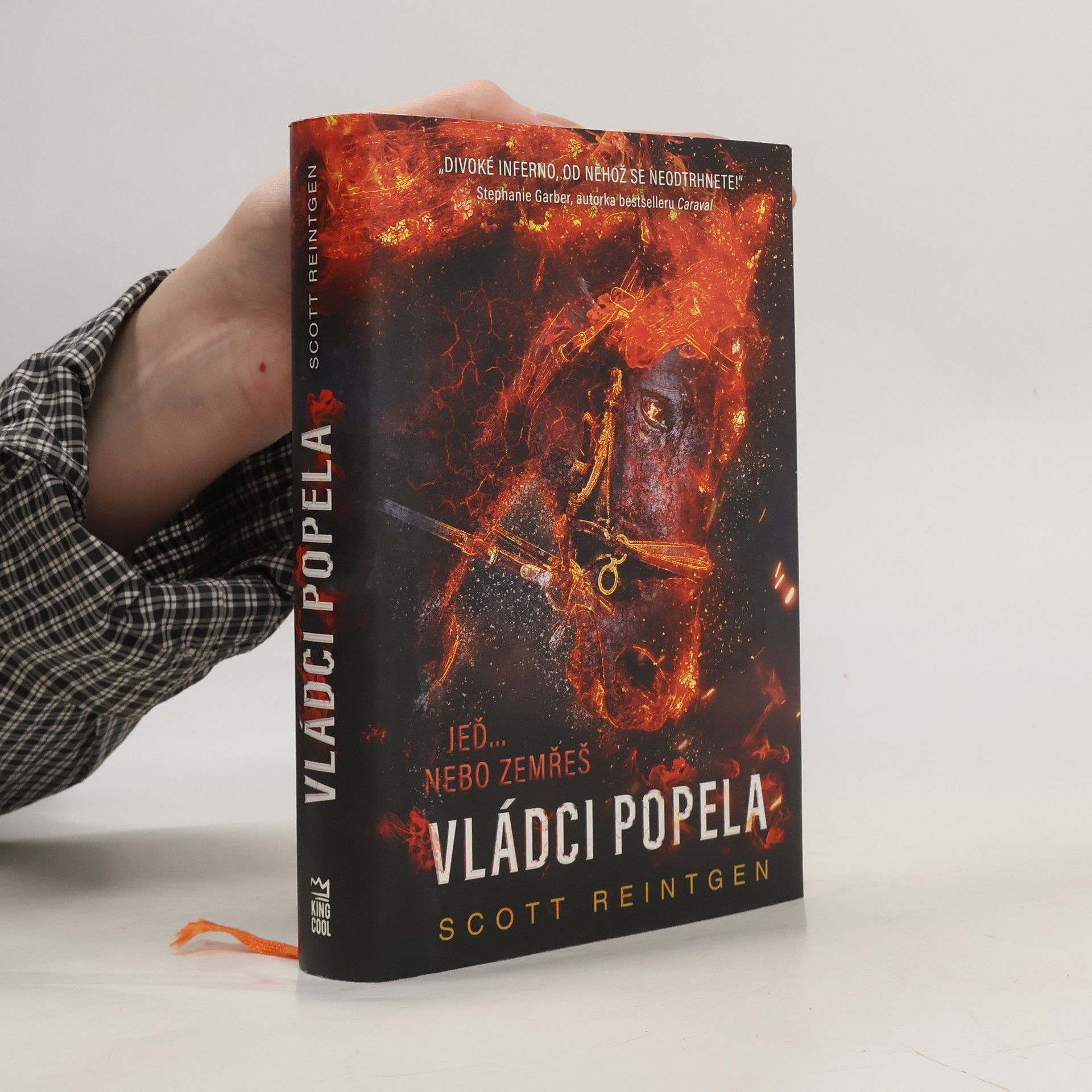 Scott Reintgen Vládci popela