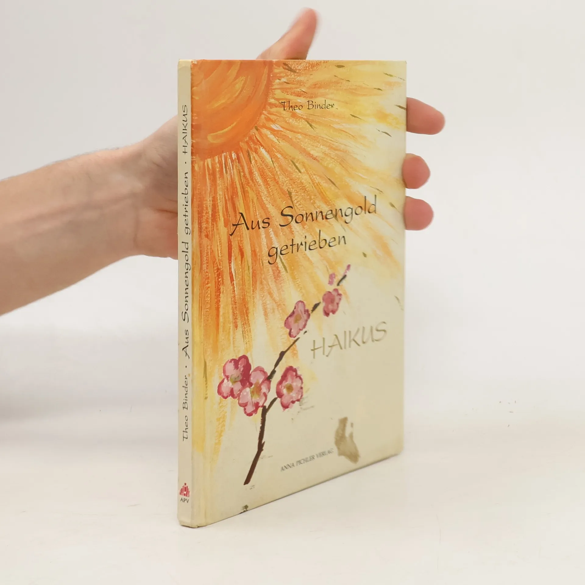 Aus Sonnengold getrieben | Book | Hardcover | Theo Binder | DE