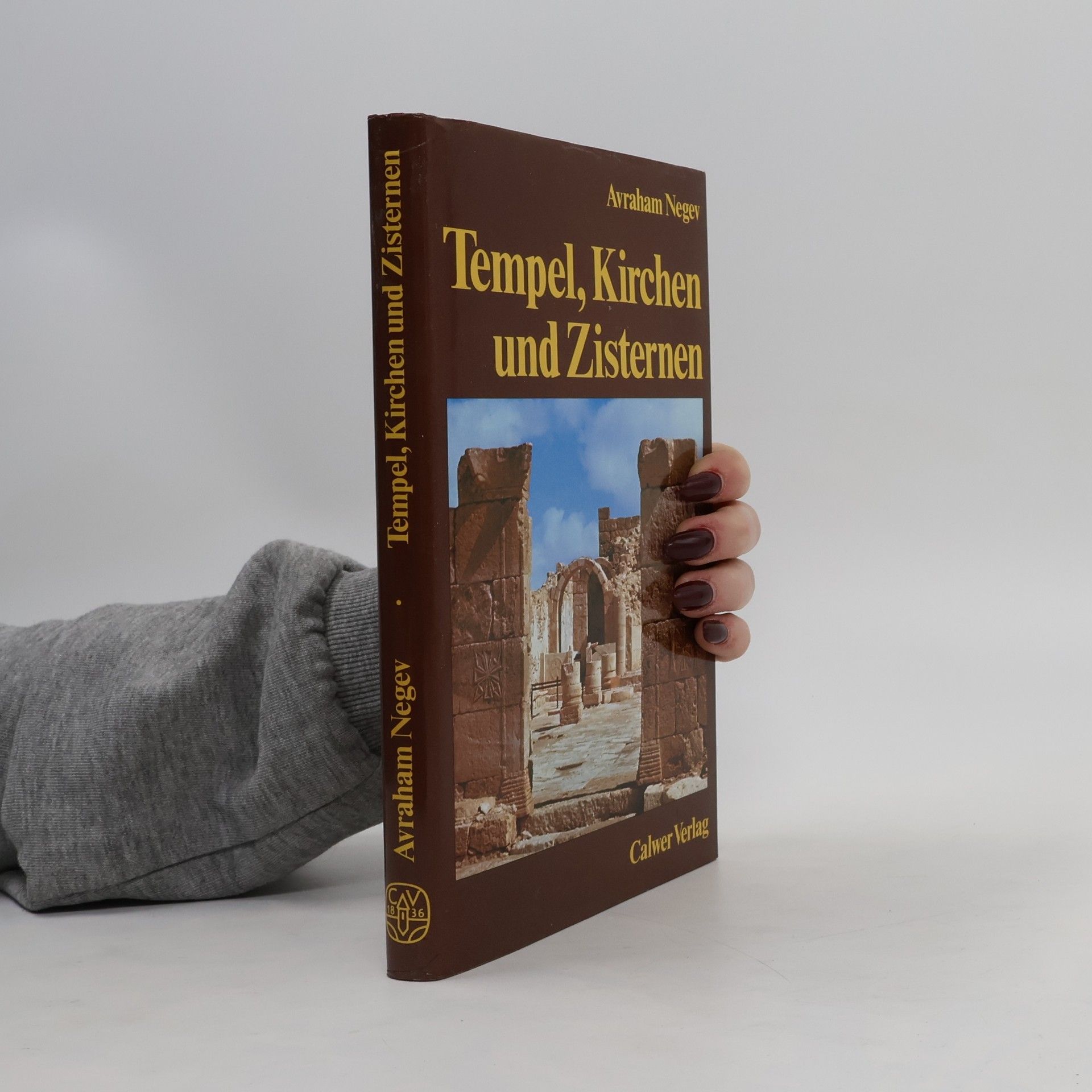 Avraham Negev Tempel, Kirchen und Zisternen