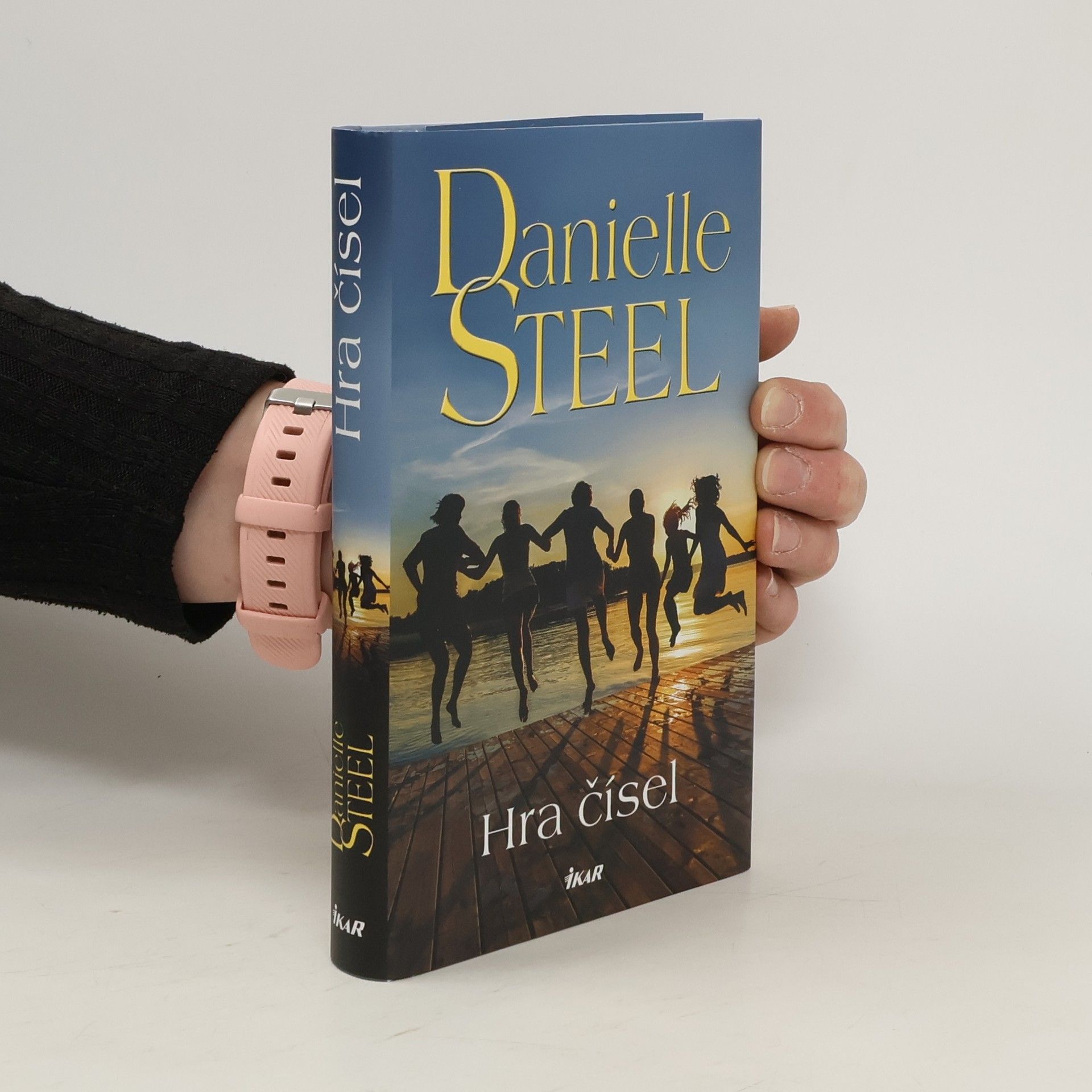 Danielle Steel Hra čísel