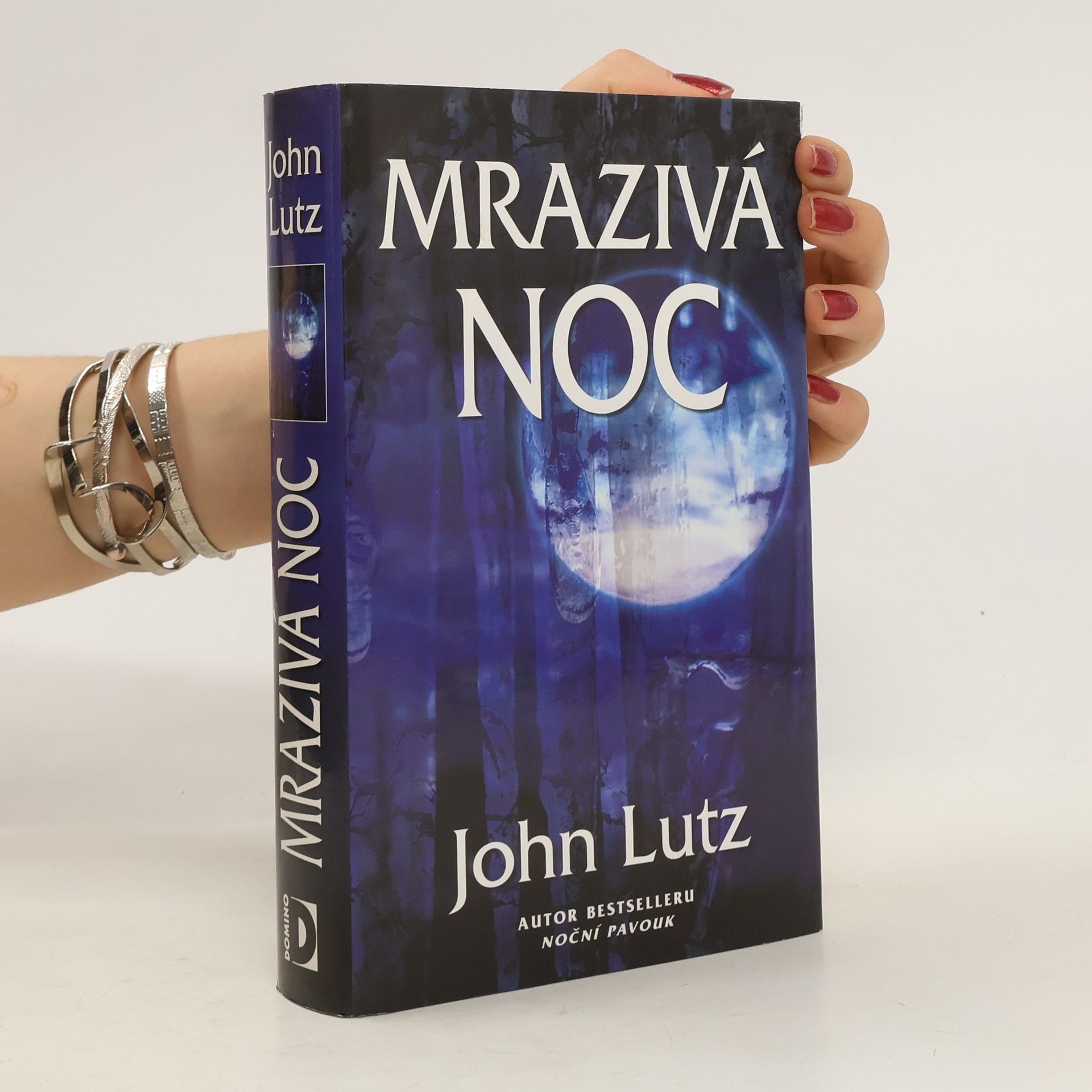 John Lutz Mrazivá noc