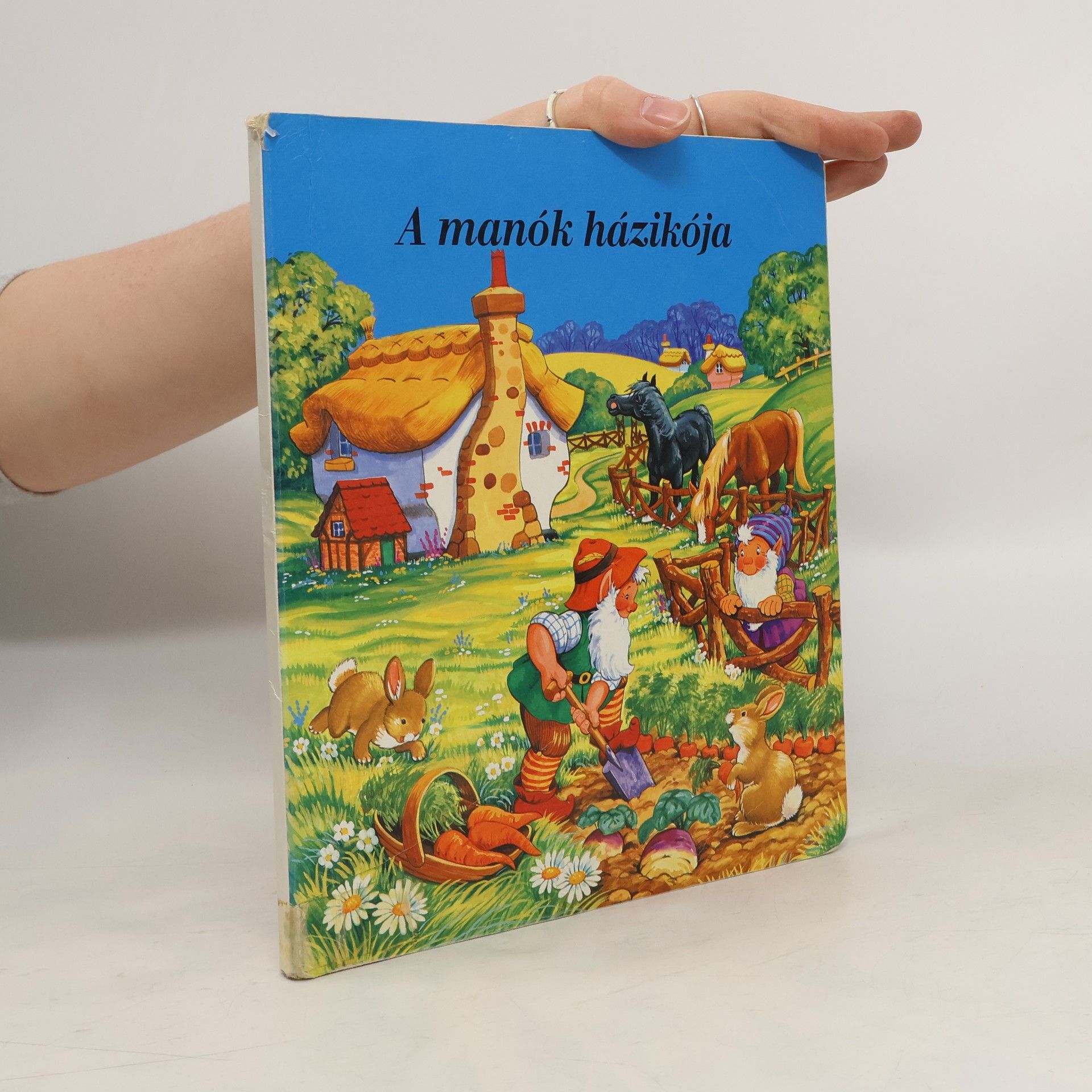 AA.VV. A manók házikója