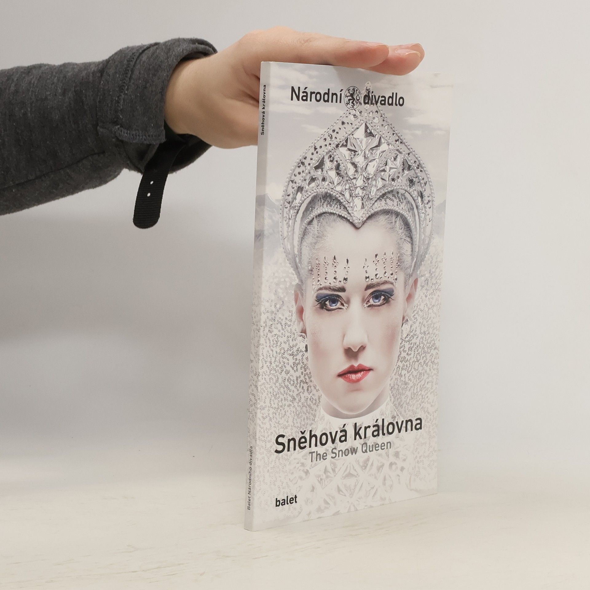 Autorenkollektiv Sněhová královna. The Snow Queen
