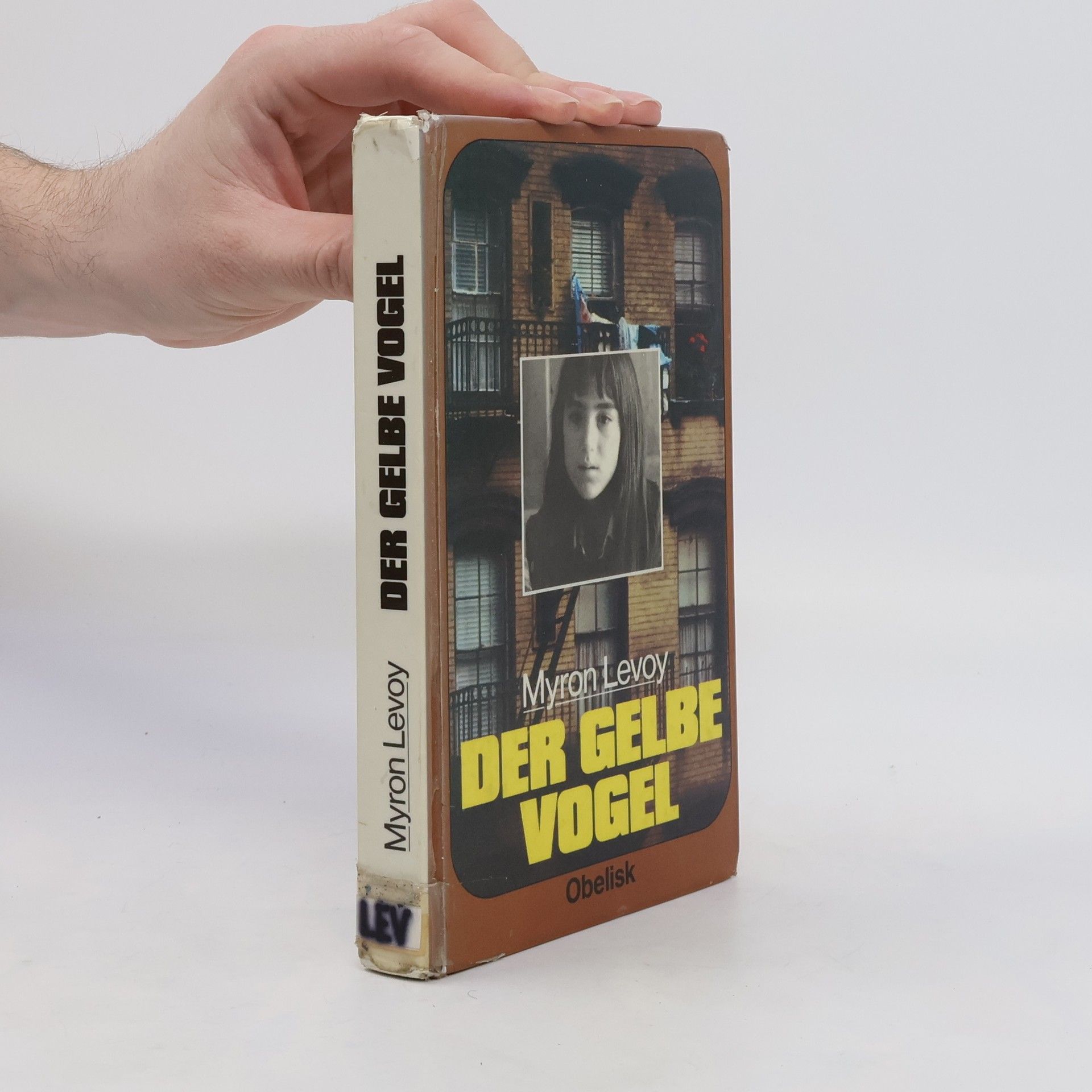 Myron Levoy Der gelbe Vogel