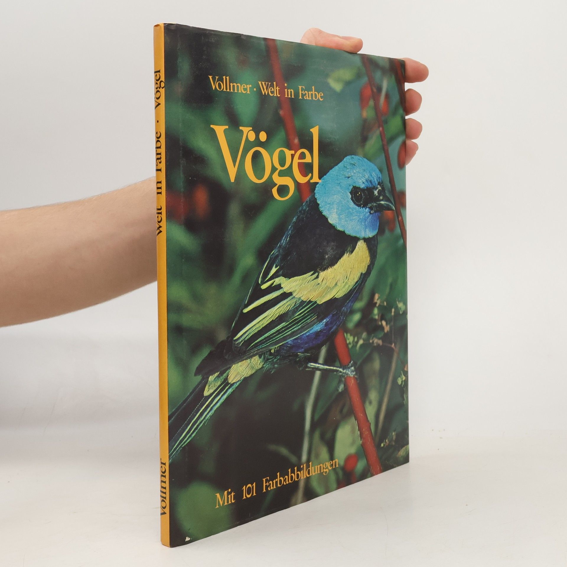 kolektiv Welt in Farbe. Vögel