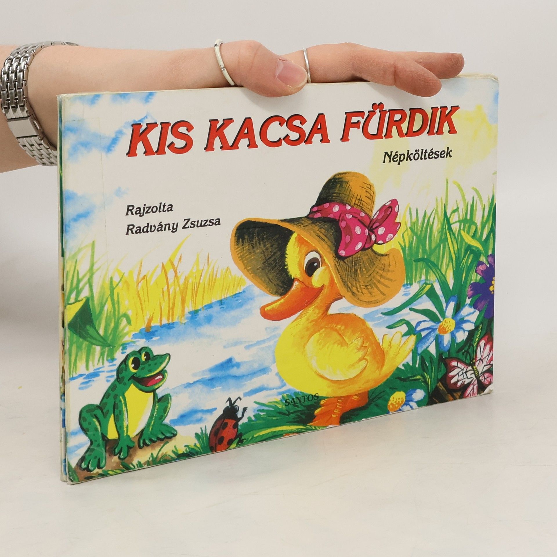 Zsuzsa Radvány Kis kacsa fürdik