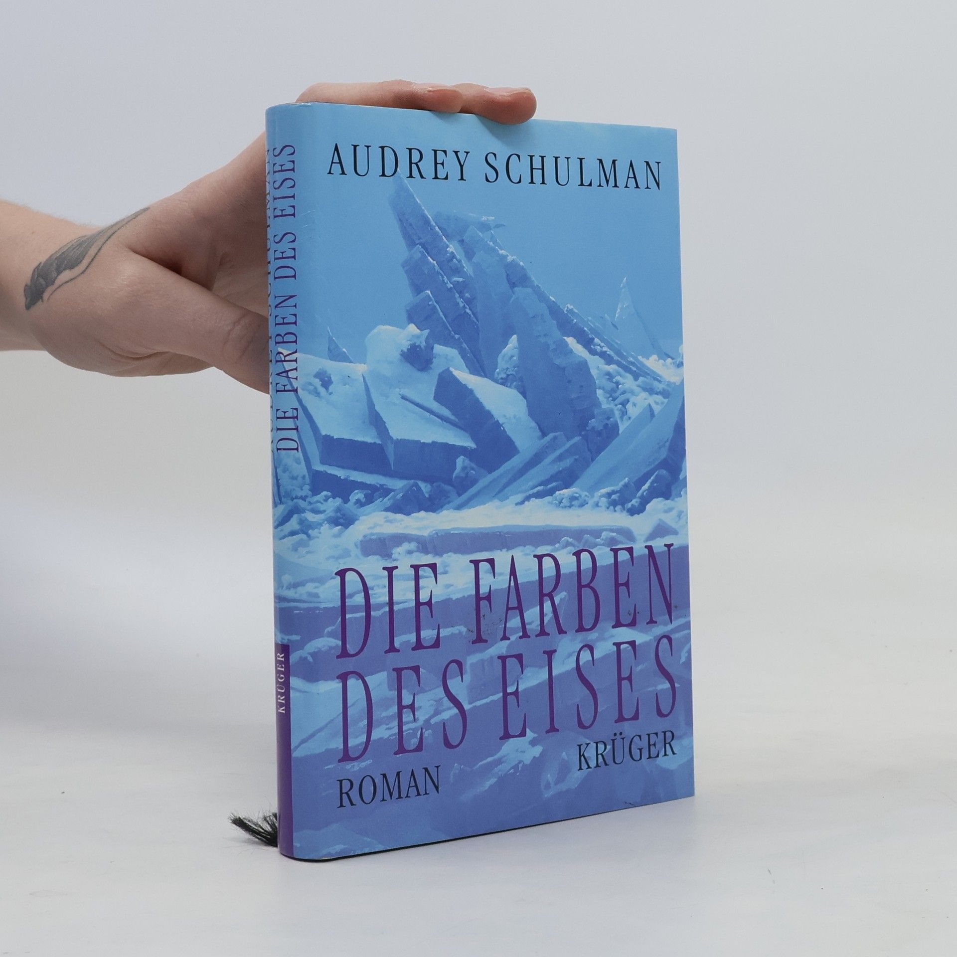 Audrey Schulman Die Farben des Eises