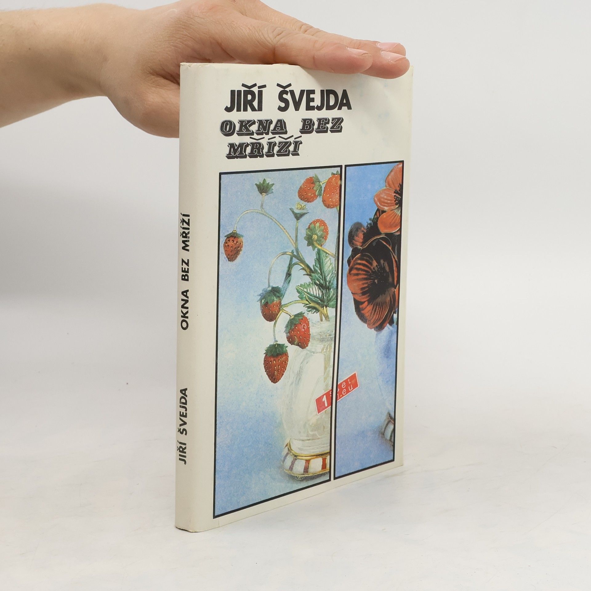 Jiří Švejda Okna bez mříží