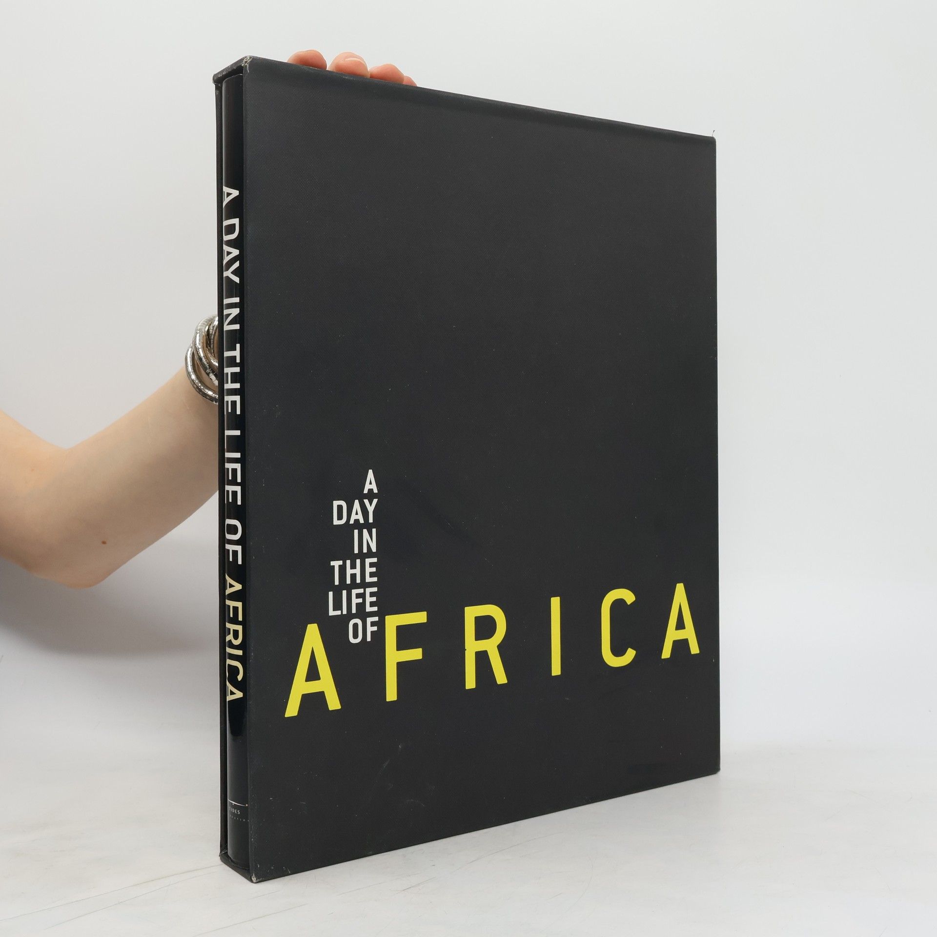 David Cohen A Day in the Life of Africa