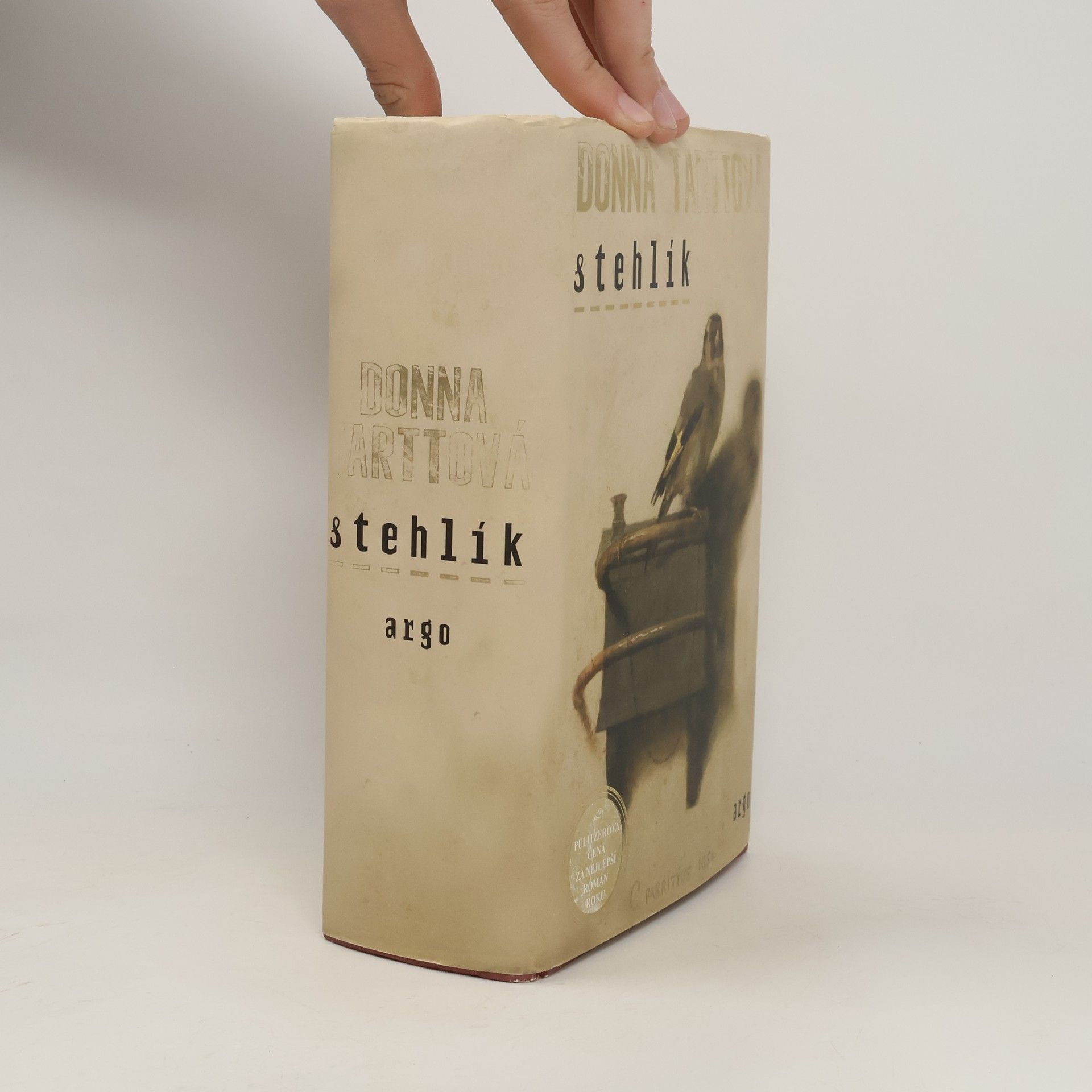 Donna Tartt Stehlík