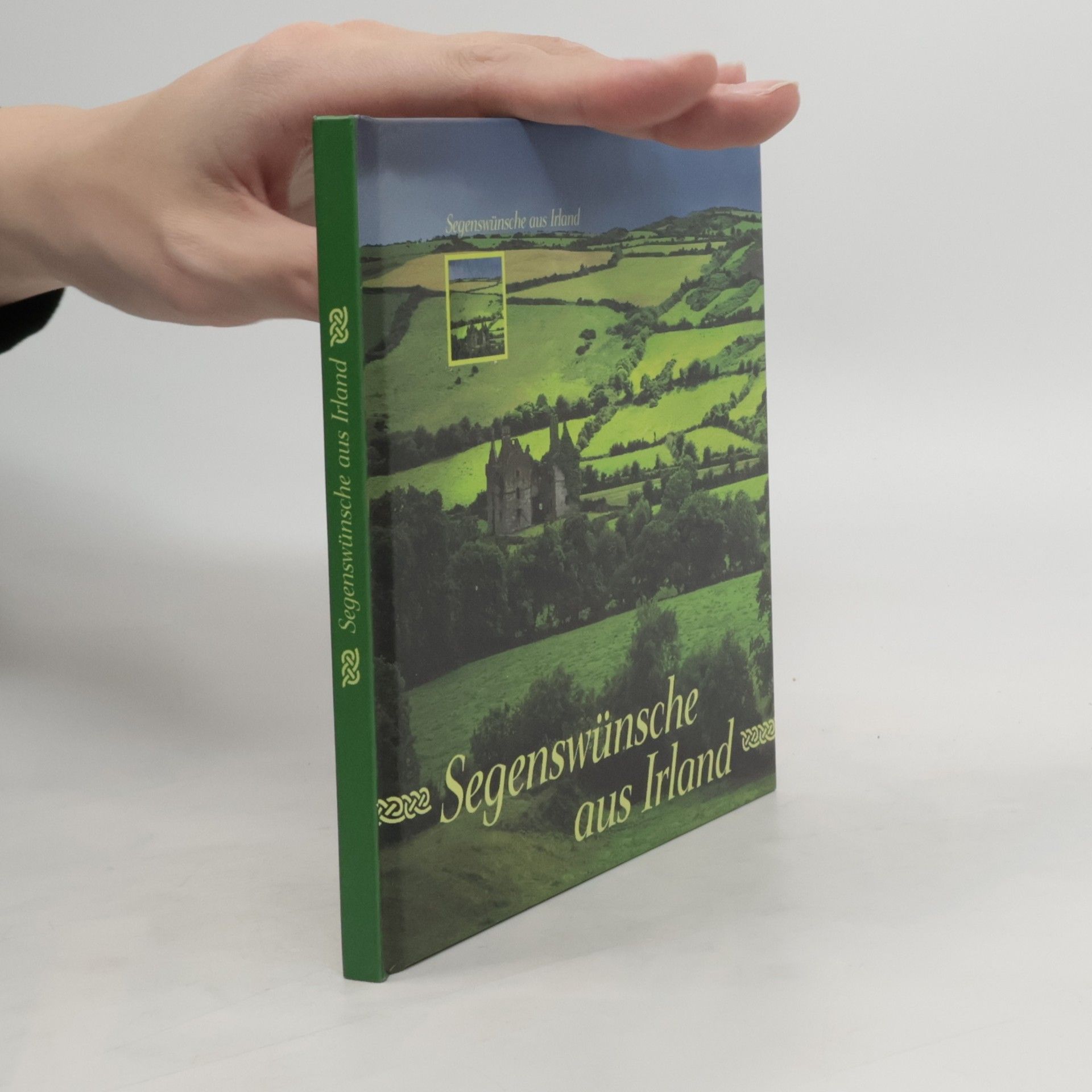Kolektiv autorů Segenswünsche aus Irland