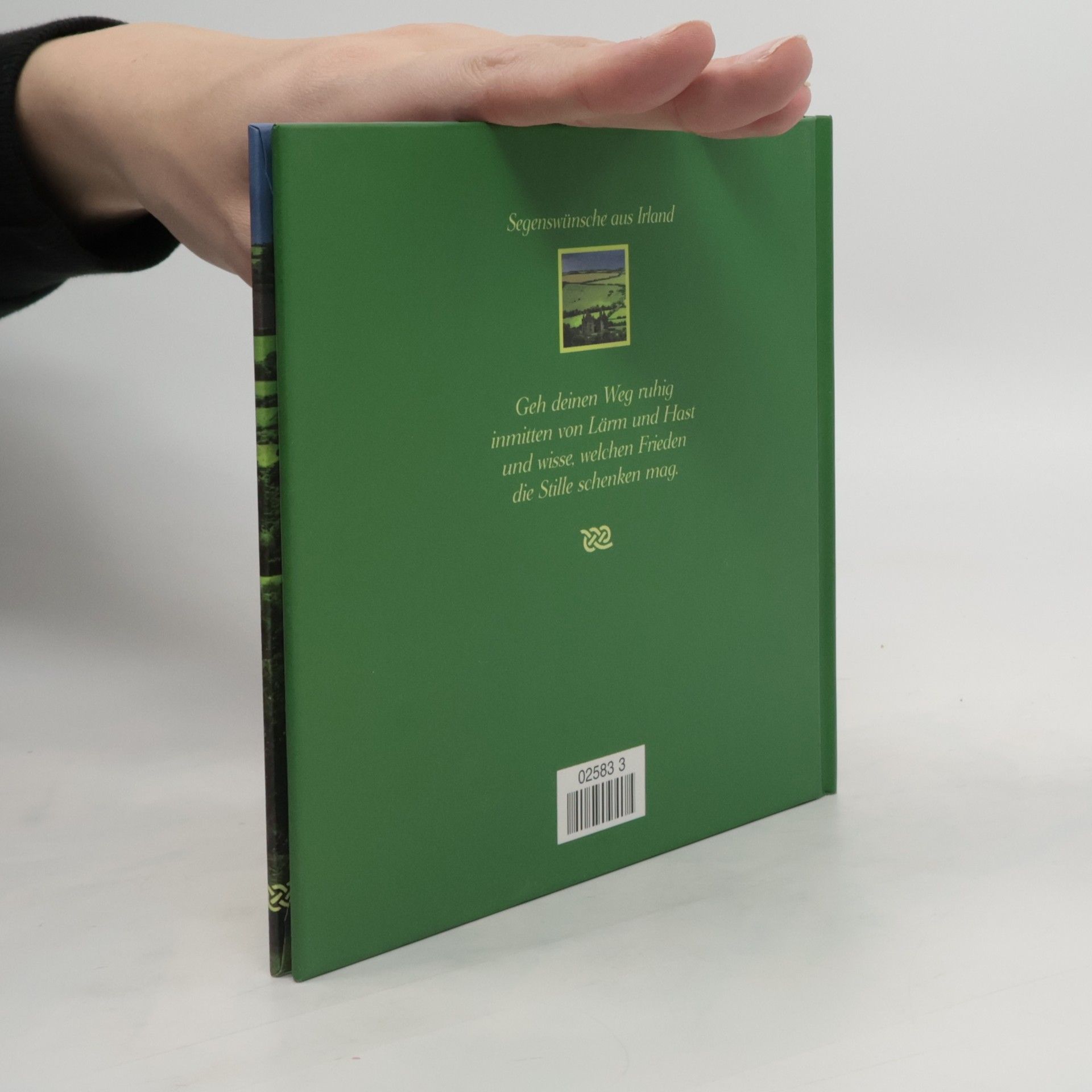 Kolektiv autorů Segenswünsche aus Irland