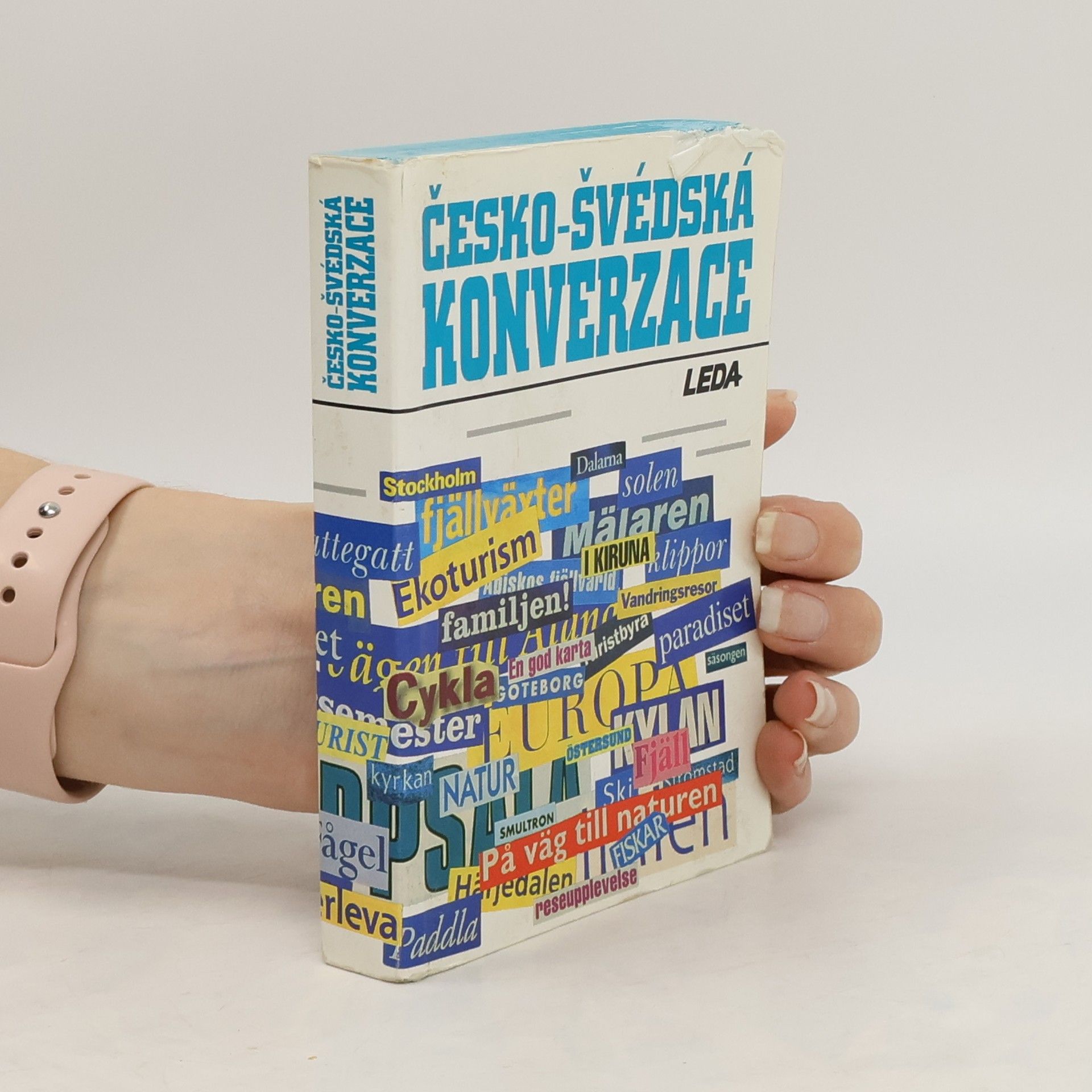 kolektiv Česko-švédská konverzace