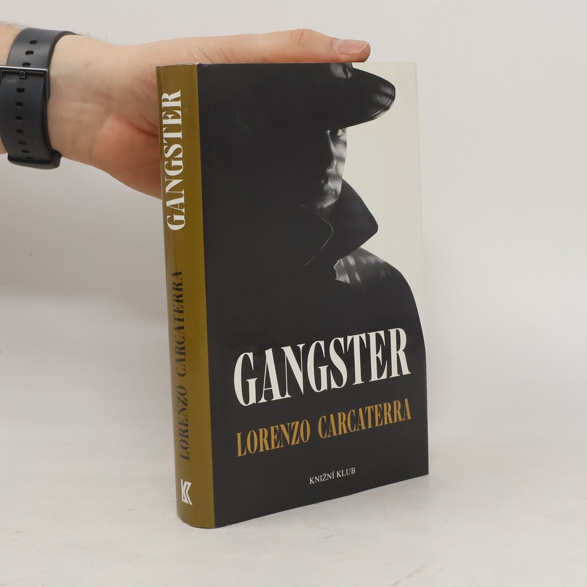 Lorenzo Carcaterra Gangster