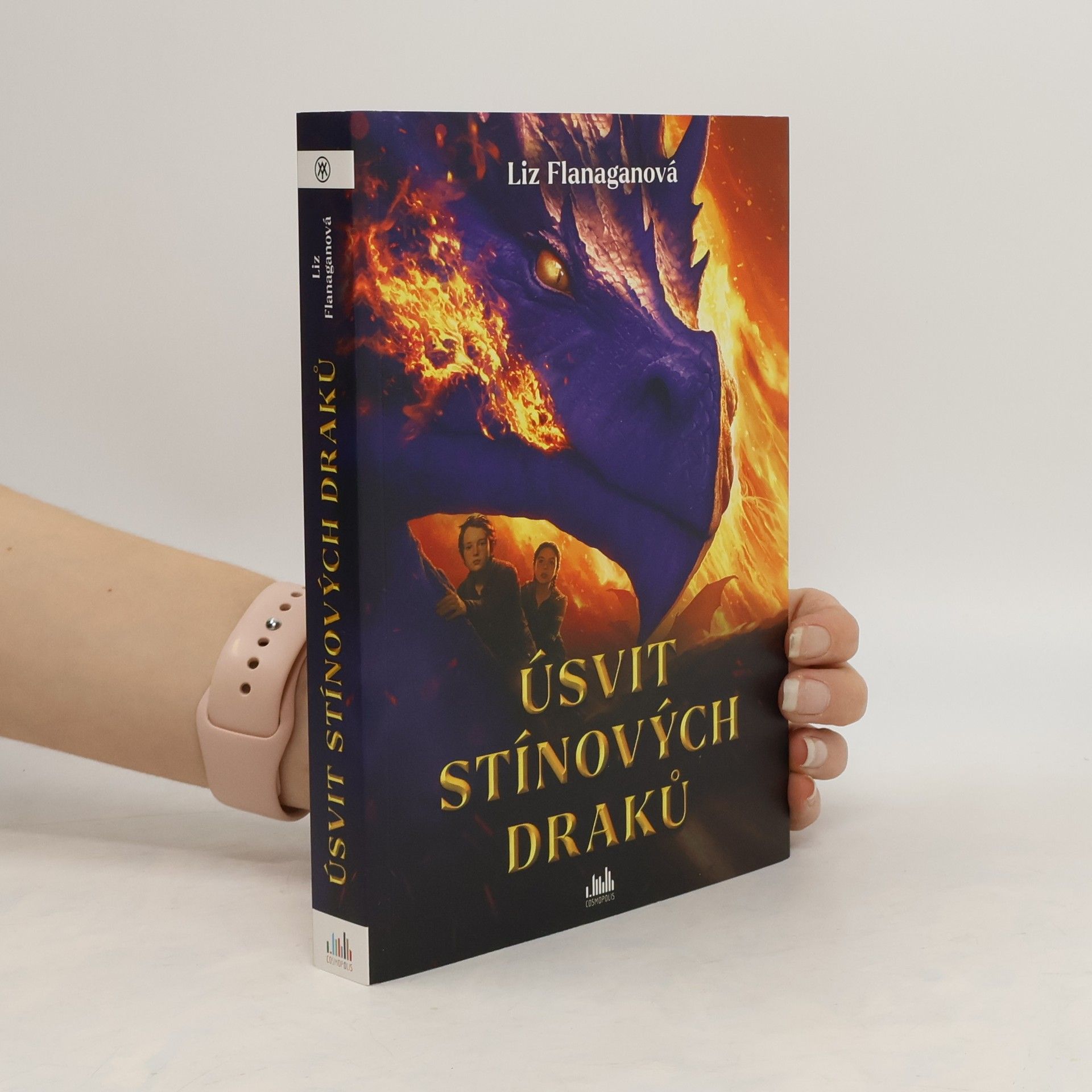 Liz Flanagan Úsvit stínových draků