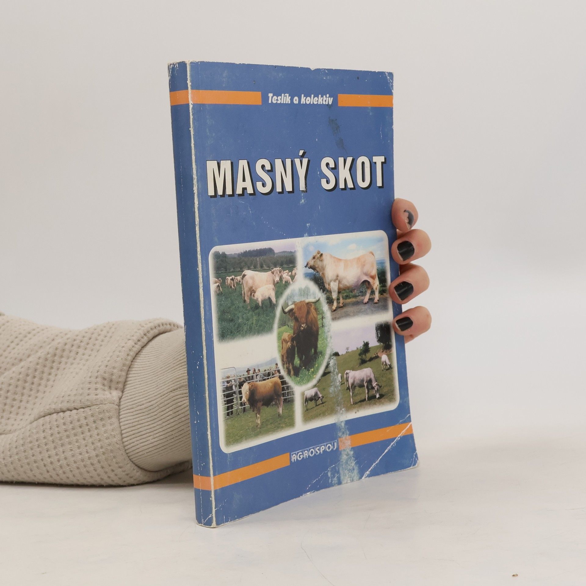 Václav Teslík Masný skot