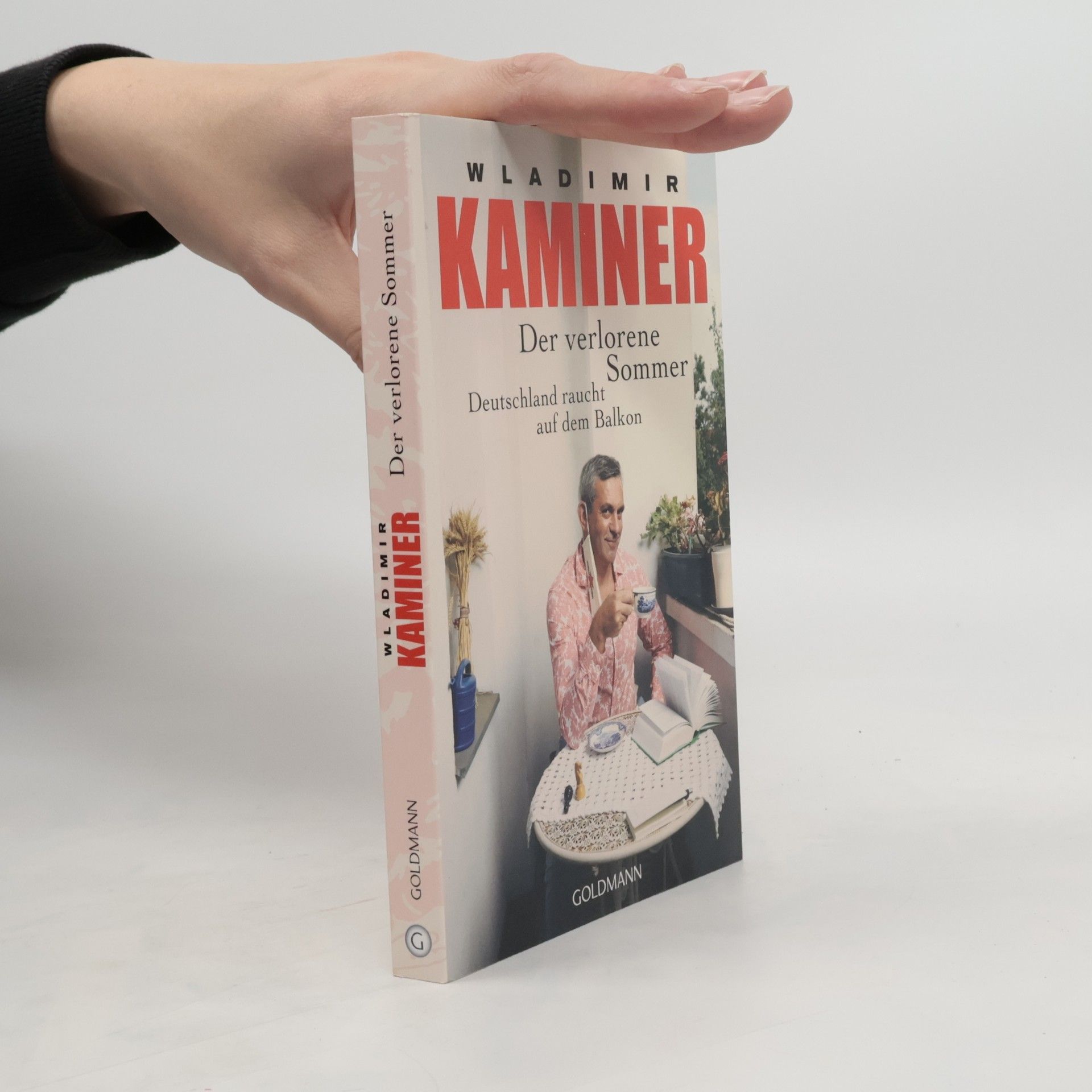 Wladimir Kaminer Der verlorene Sommer