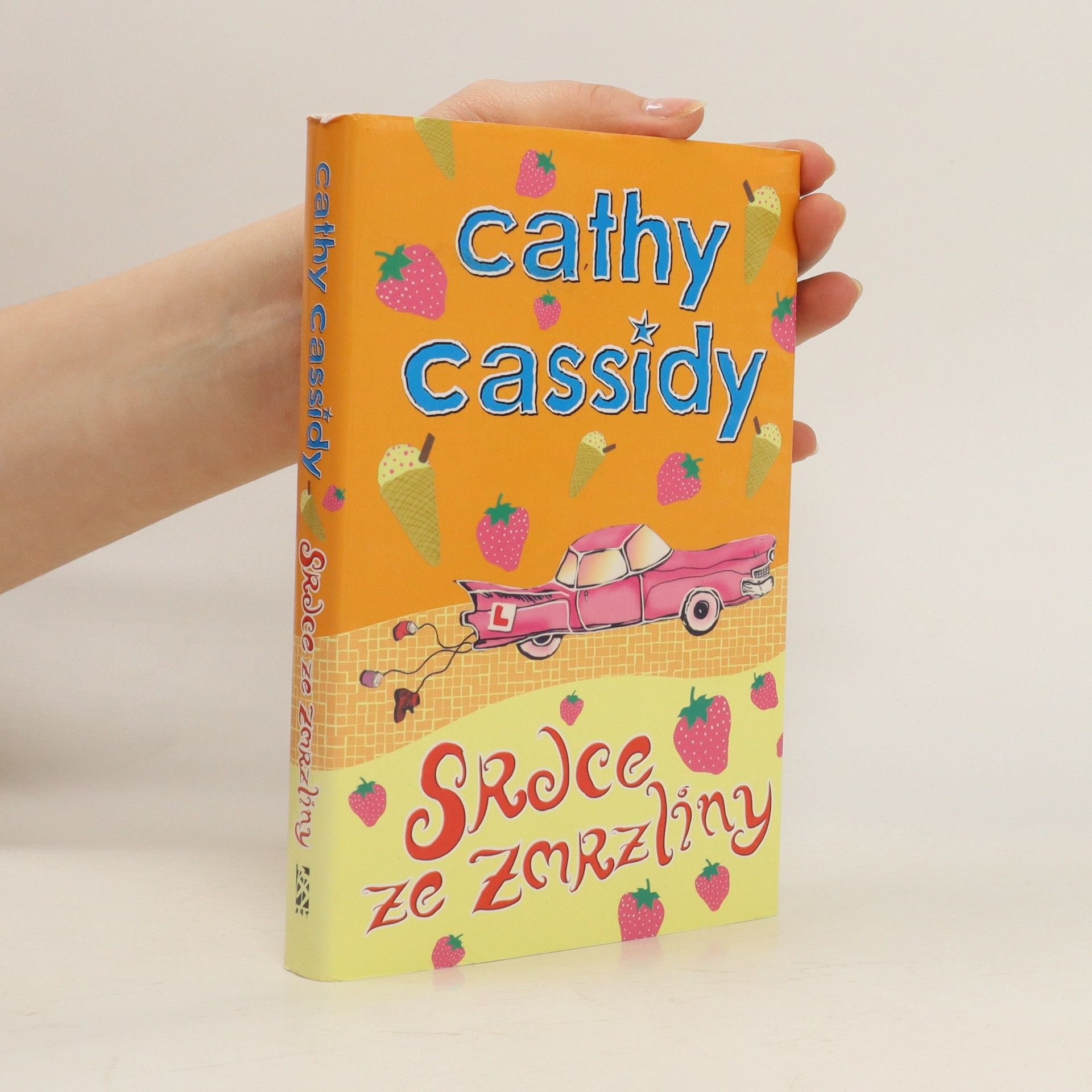 Cathy Cassidy Srdce ze zmrzliny