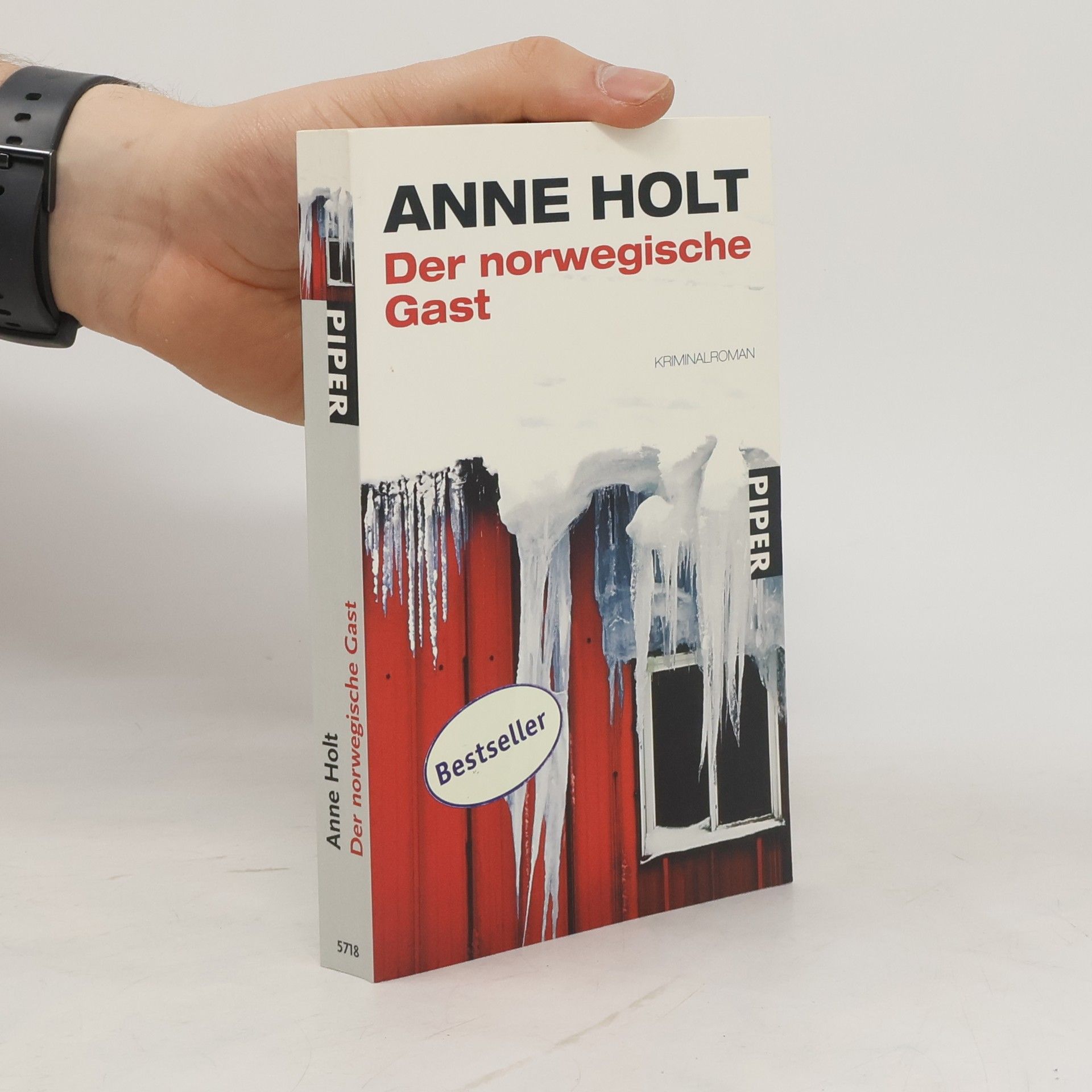 Anne Holt Der norwegische Gast