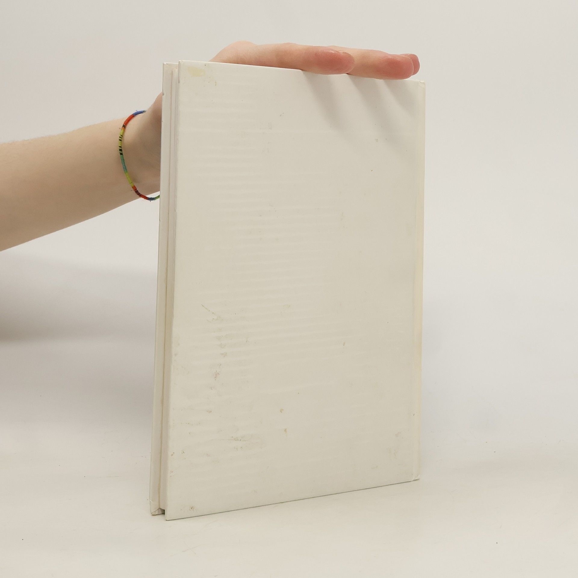 Milena Steinerová Einblick in die Küche von Mies, Stříbro