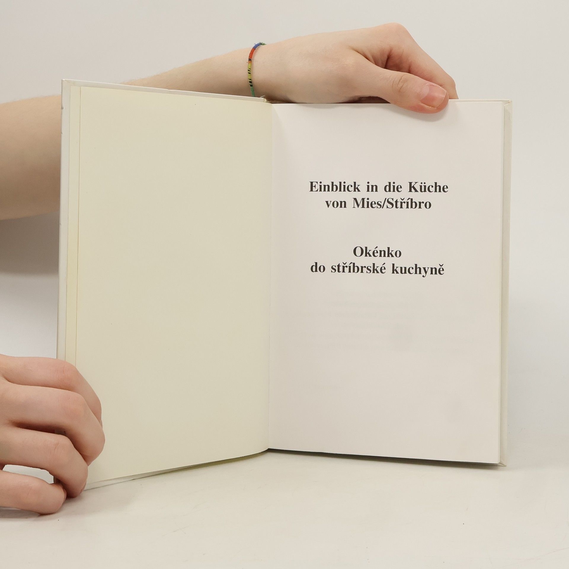 Milena Steinerová Einblick in die Küche von Mies, Stříbro