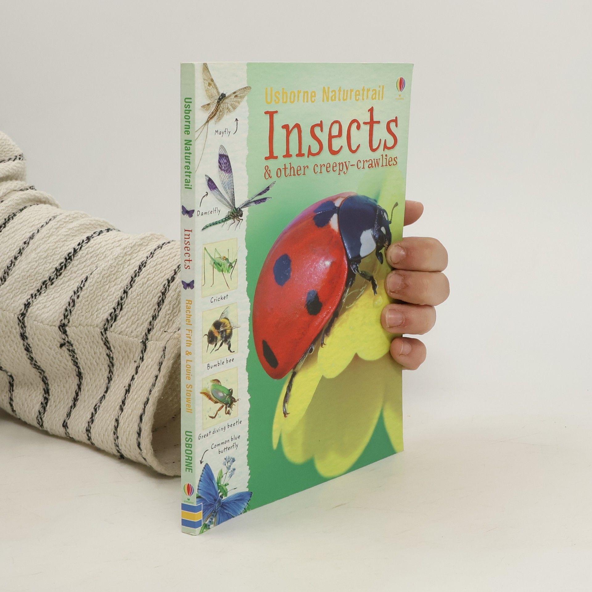 Rachel Firth Insects