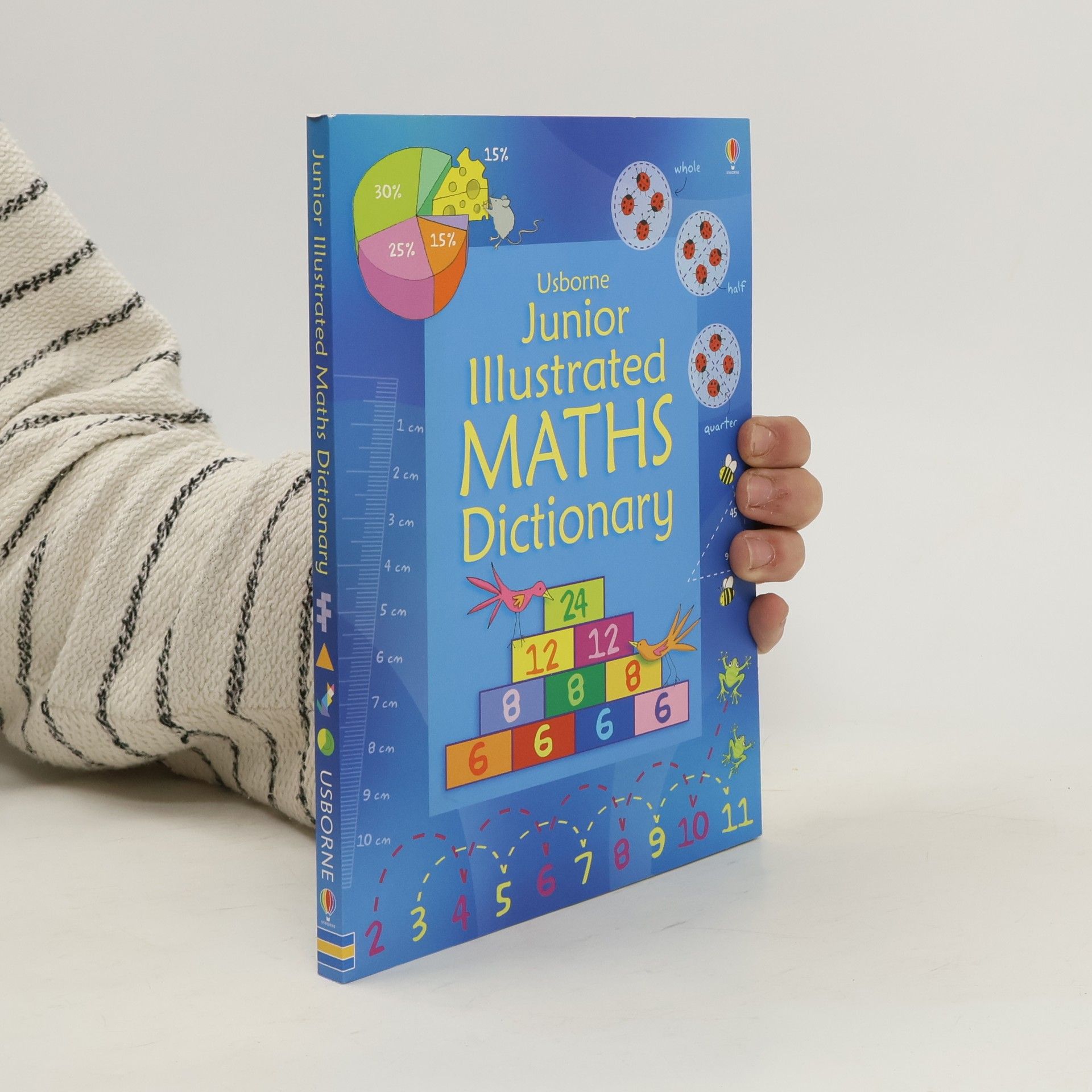 Autores varios Junior Illustrated Maths Dictionary