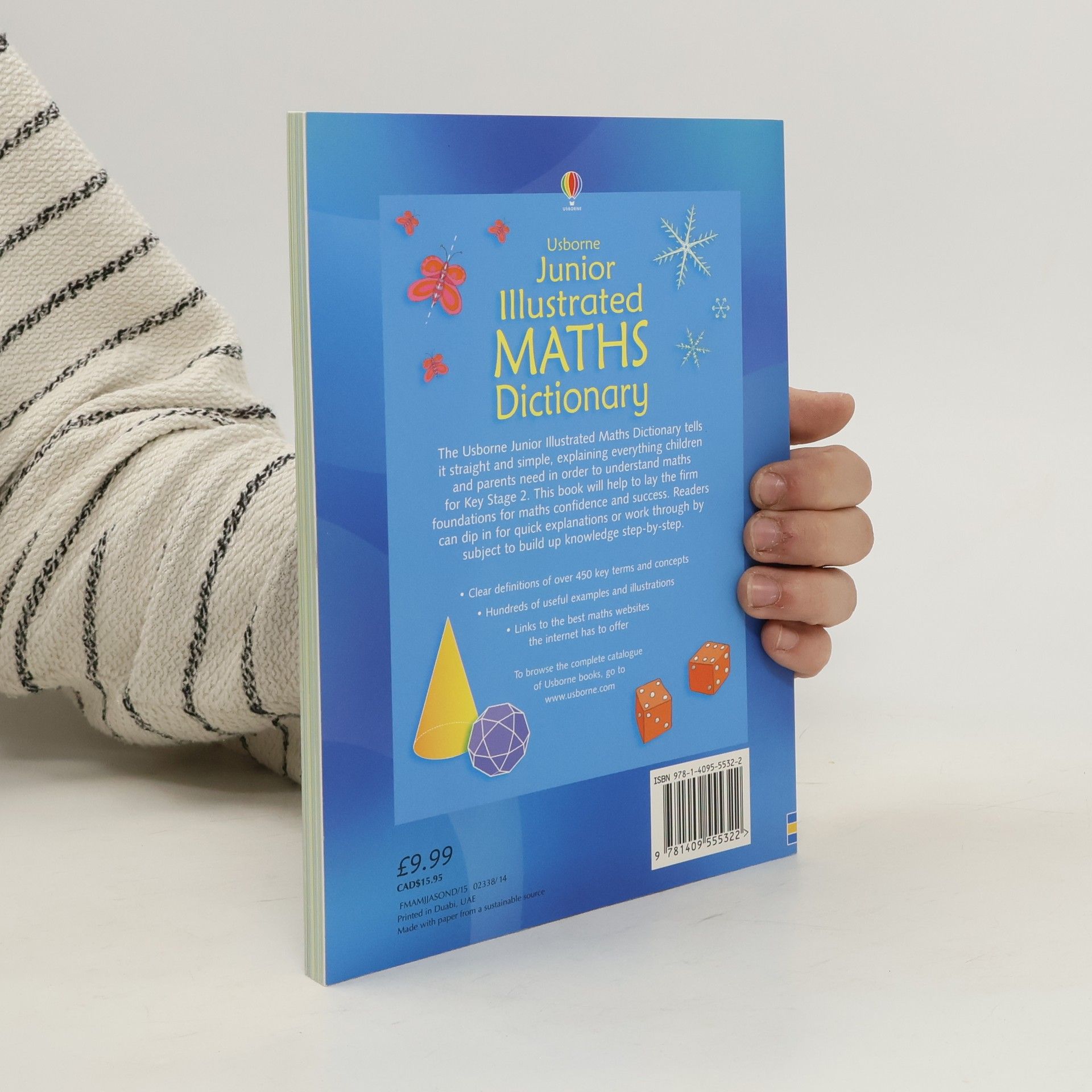 Autores varios Junior Illustrated Maths Dictionary